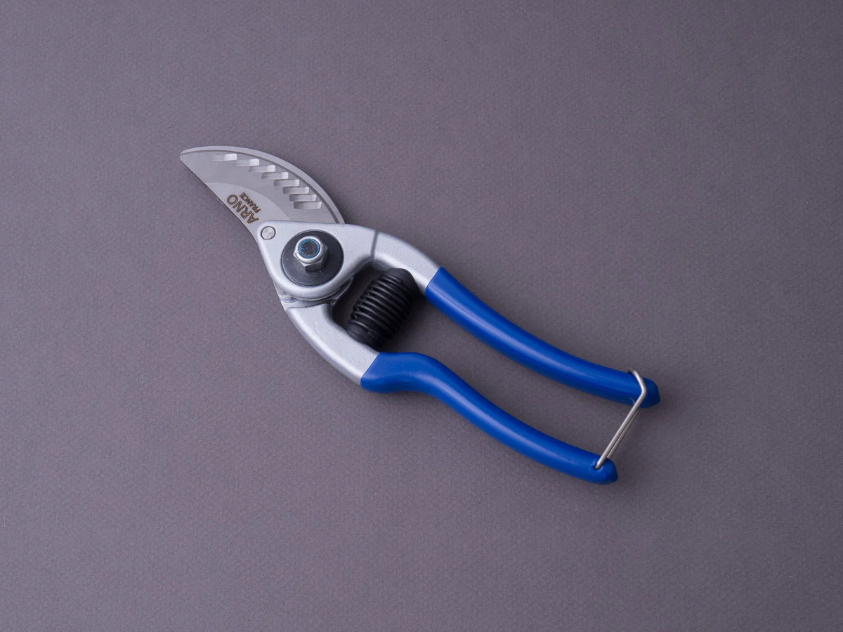 Arno - Secateur - Stainless - 20cm - Blue Handle