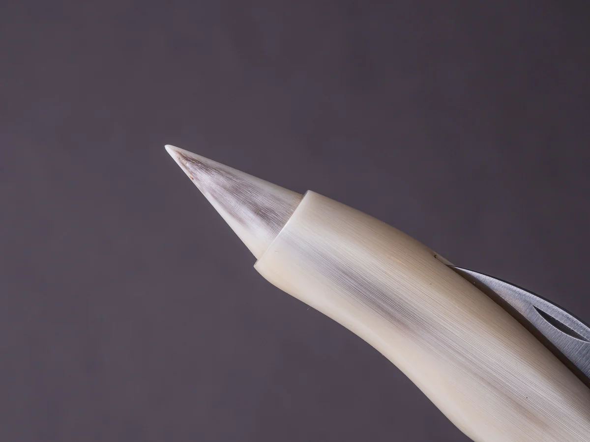 Cognet - Truffle Knife "Le Truffier" - Corne Blonde - Image 11