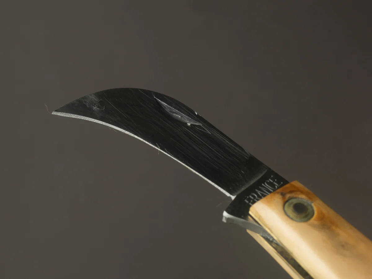 Coursolle - Mushroom Knife - Serpette - 75mm Buis - Boxwood - Image 9