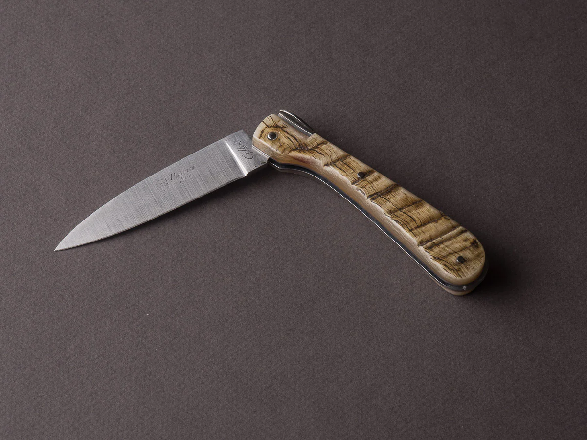 Fontenille-Pataud - Corsican Pialincu - 110mm Folding - Spring System -Full Ram Horn Handle - Image 10