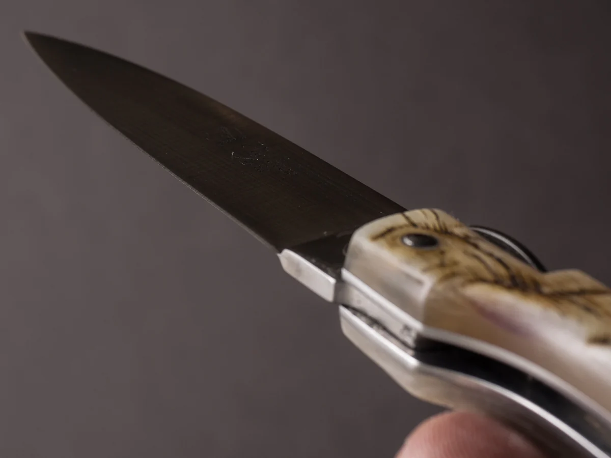 Fontenille-Pataud - Corsican Pialincu - 110mm Folding - Spring System -Full Ram Horn Handle - Image 8