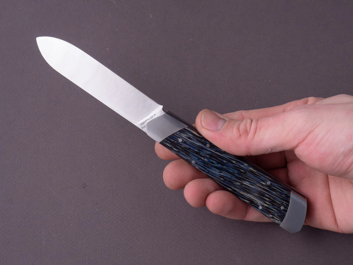 Fontenille Pataud - Folding Knife - Le Pradel - 14C28N - 90mm - Blue Palm Tree Handle - Image 6