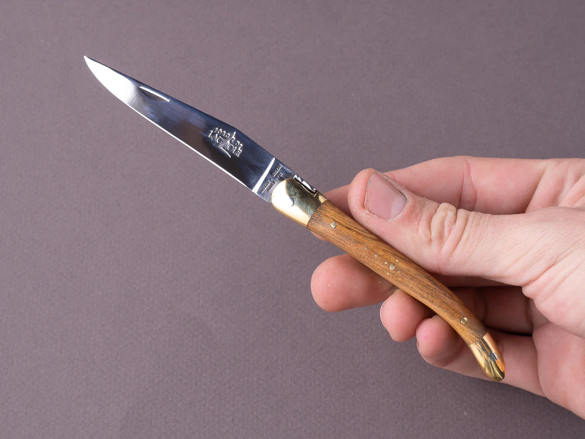 Forge de Laguiole - 90mm Folding Knife - Spring Lock - Pistachio & Brass Handle - Image 4