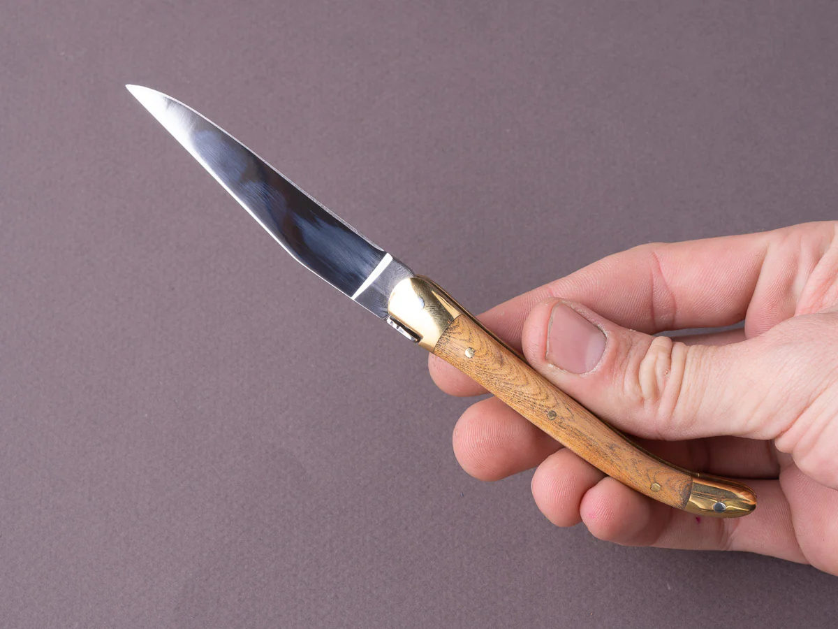 Forge de Laguiole - 90mm Folding Knife - Spring Lock - Pistachio & Brass Handle - Image 5
