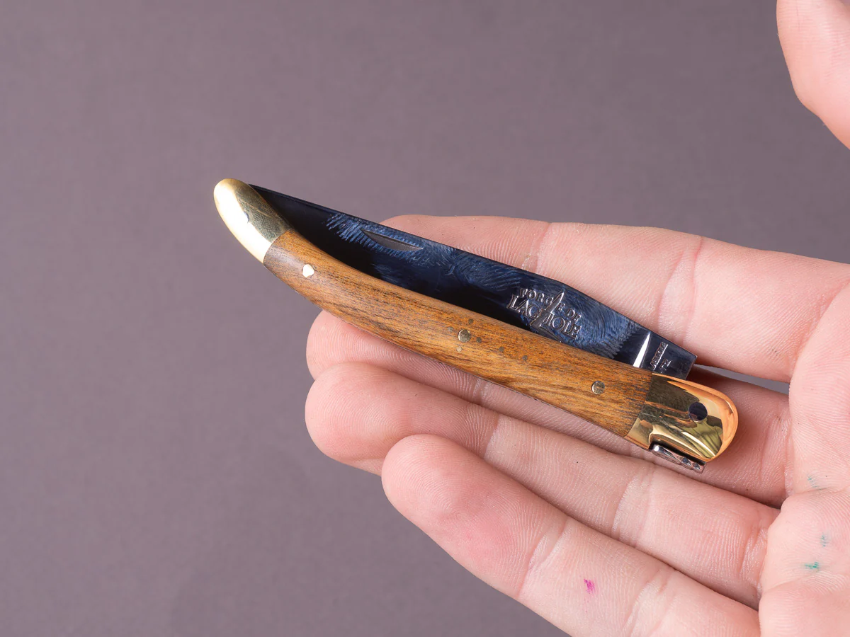 Forge de Laguiole - 90mm Folding Knife - Spring Lock - Pistachio & Brass Handle - Image 7
