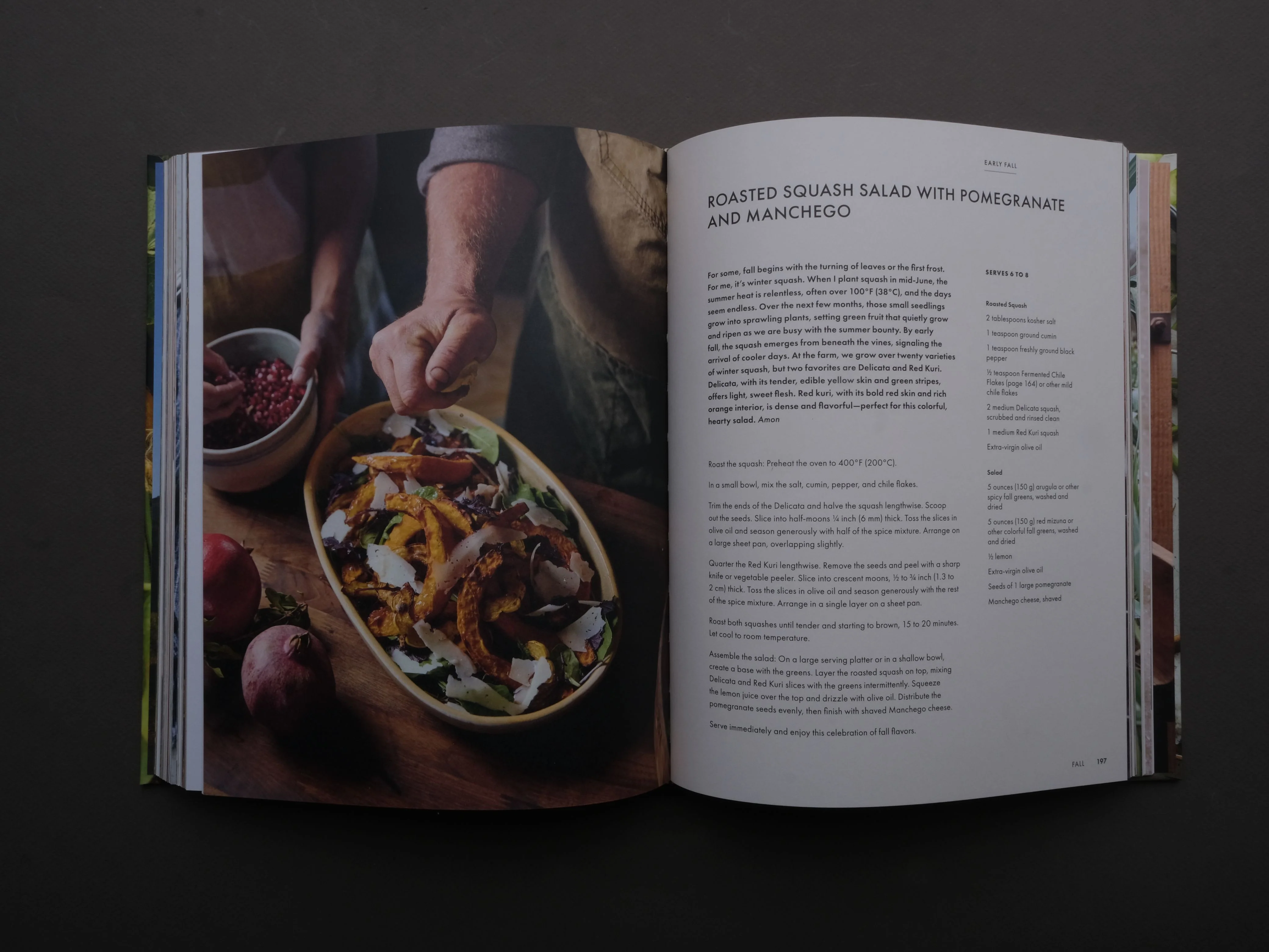 Full Belly - Image 4