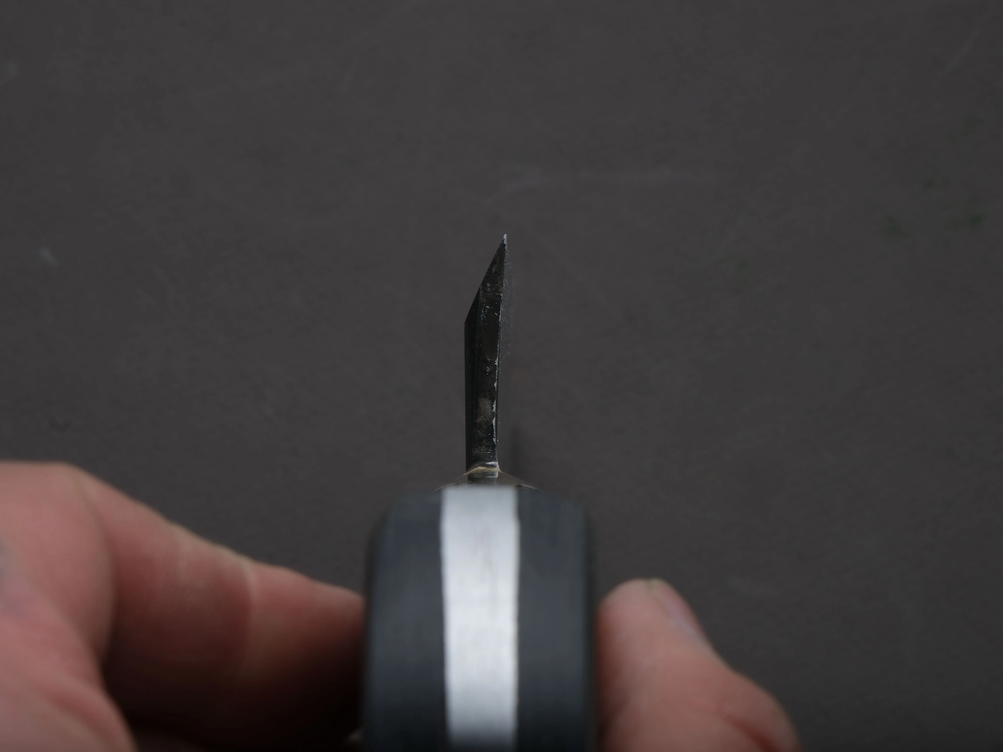 Goko Hamono - Kogetsu - Mono SK - 180mm - Garasuki - Western Handle - Image 6