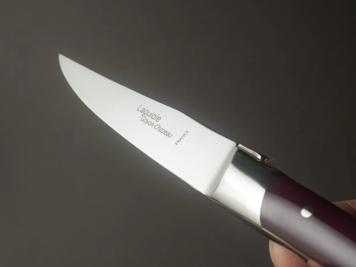 Goyon Chazeau - Steak/Table Knives - Laguiole - Acrylic Colors Handle - Set of 6 - Image 7