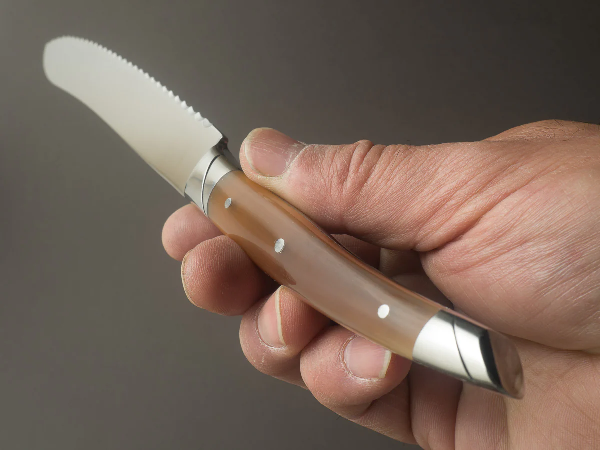 Goyon Chazeau - Le Thiers - Bread Knife - 185mm - Aubrac Horn Handle - Image 9
