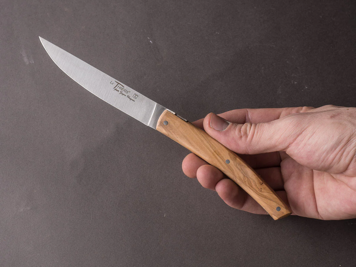 Goyon-Chazeau - Le Thiers Pirou - Steak/Table Knives - Olive - Set of 6 - Image 5