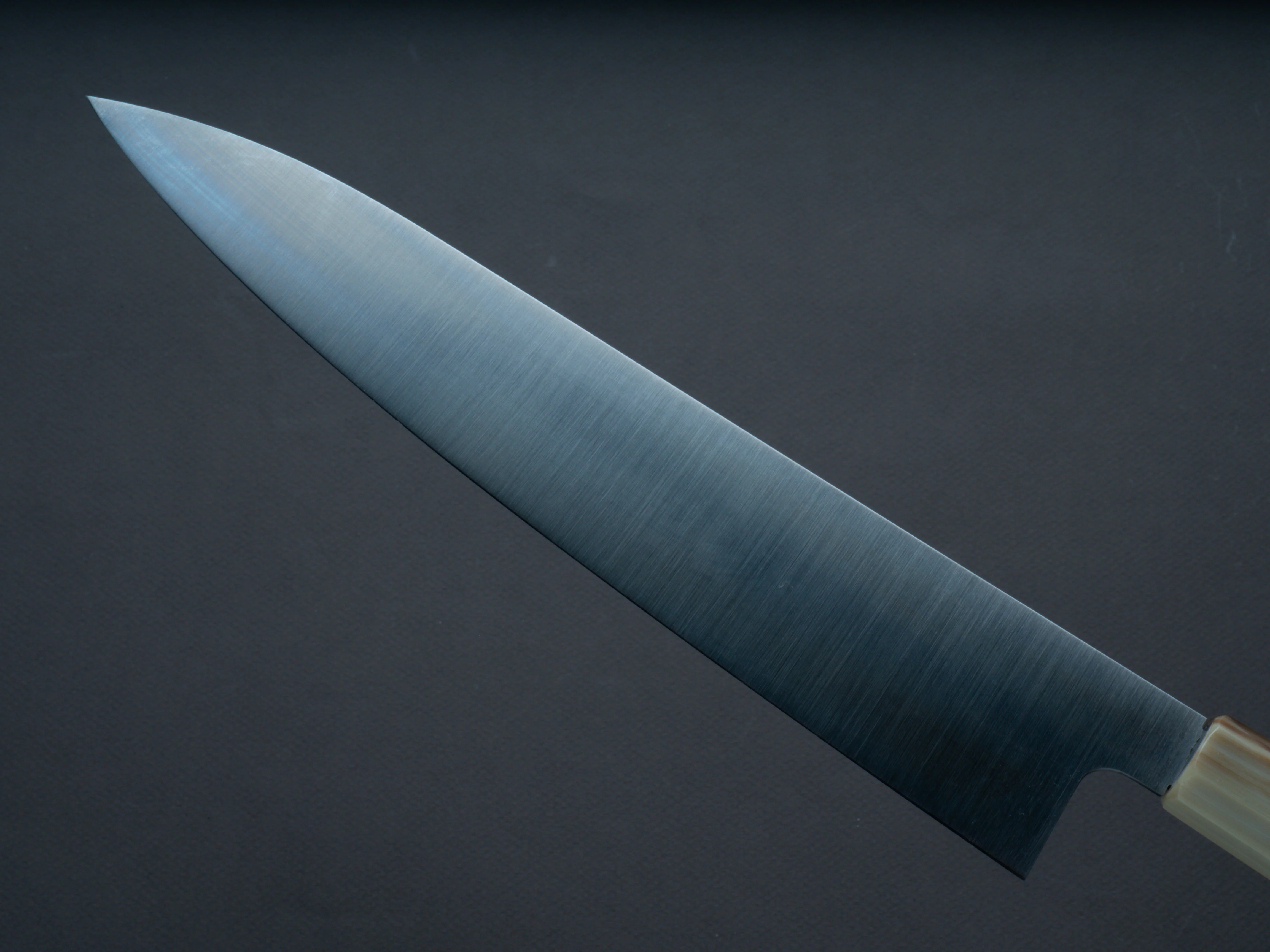 Hitohira - AH - Hagane - Gyuto - 270mm - Ebony Handle - Image 3