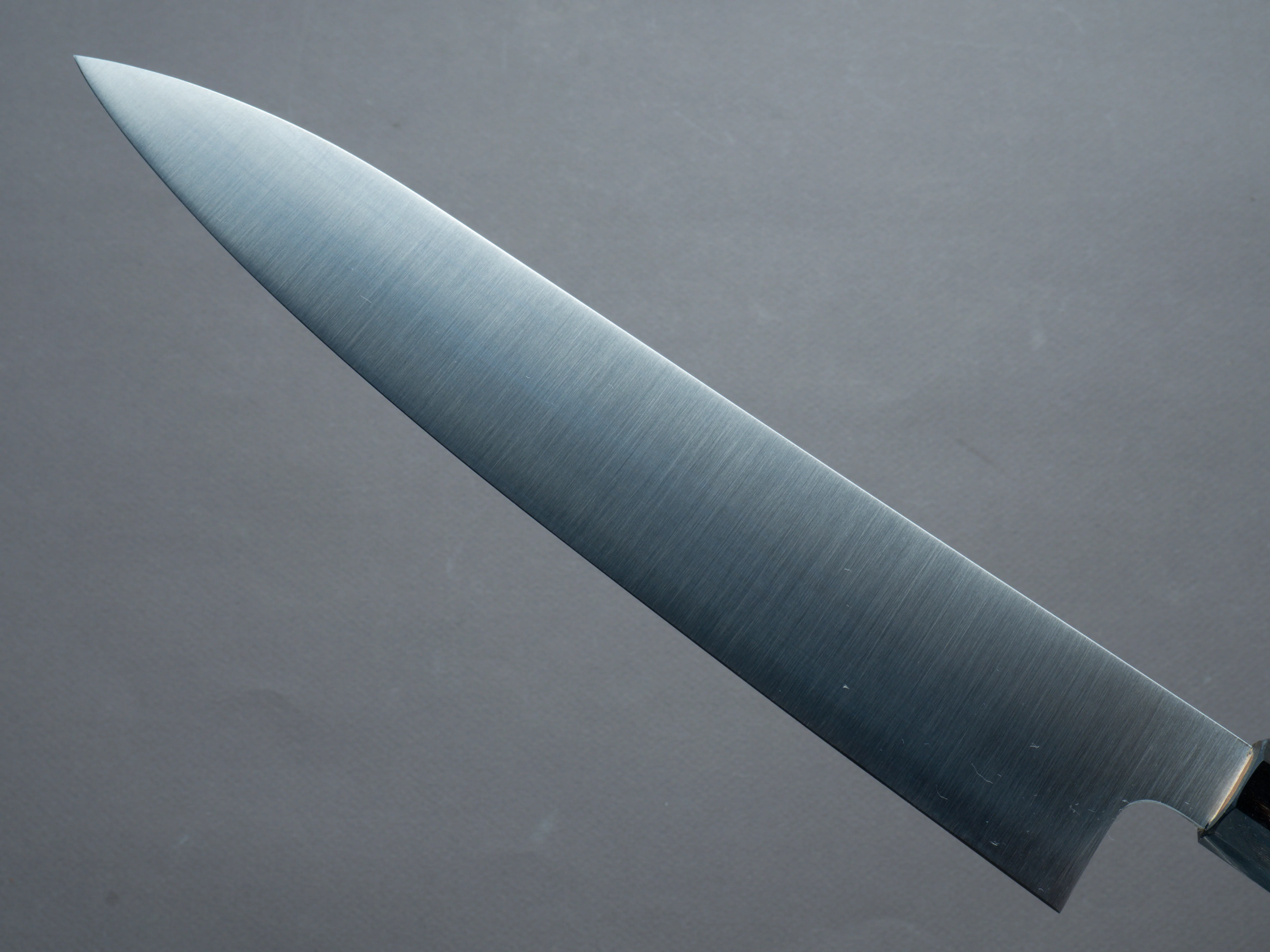 Hitohira - AH - Hagane - Gyuto - 270mm - Magnolia Handle - Image 3