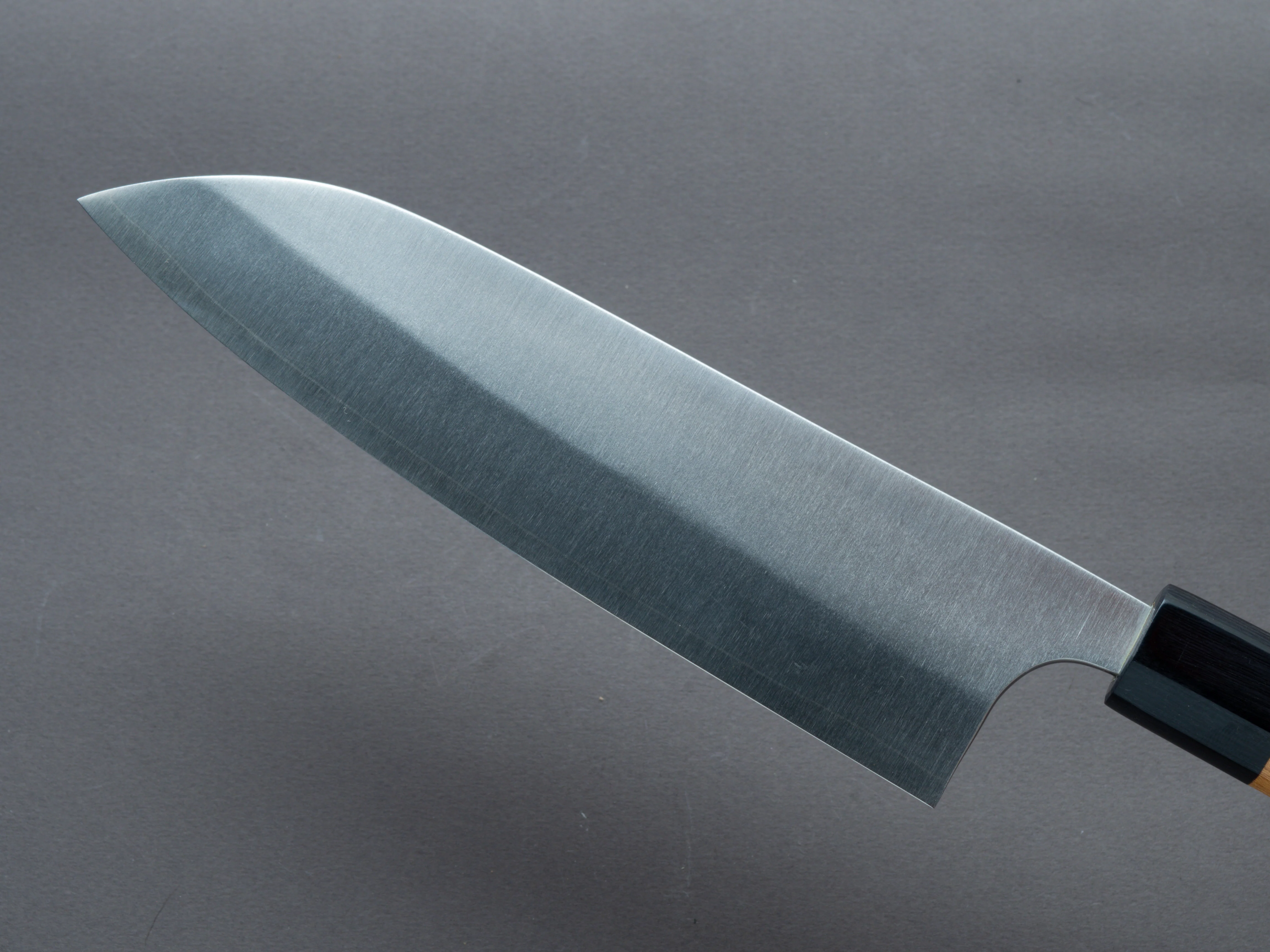 Hitohira - Echizen - SG2 - Santoku - 180mm - Keyaki Zelkova Handle - Image 3