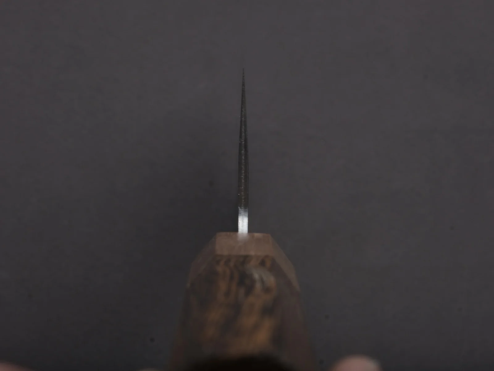Hitohira - Echizen - SG2 - Tsuchime - Nakiri - 165mm - Tagayasan Handle - Image 4