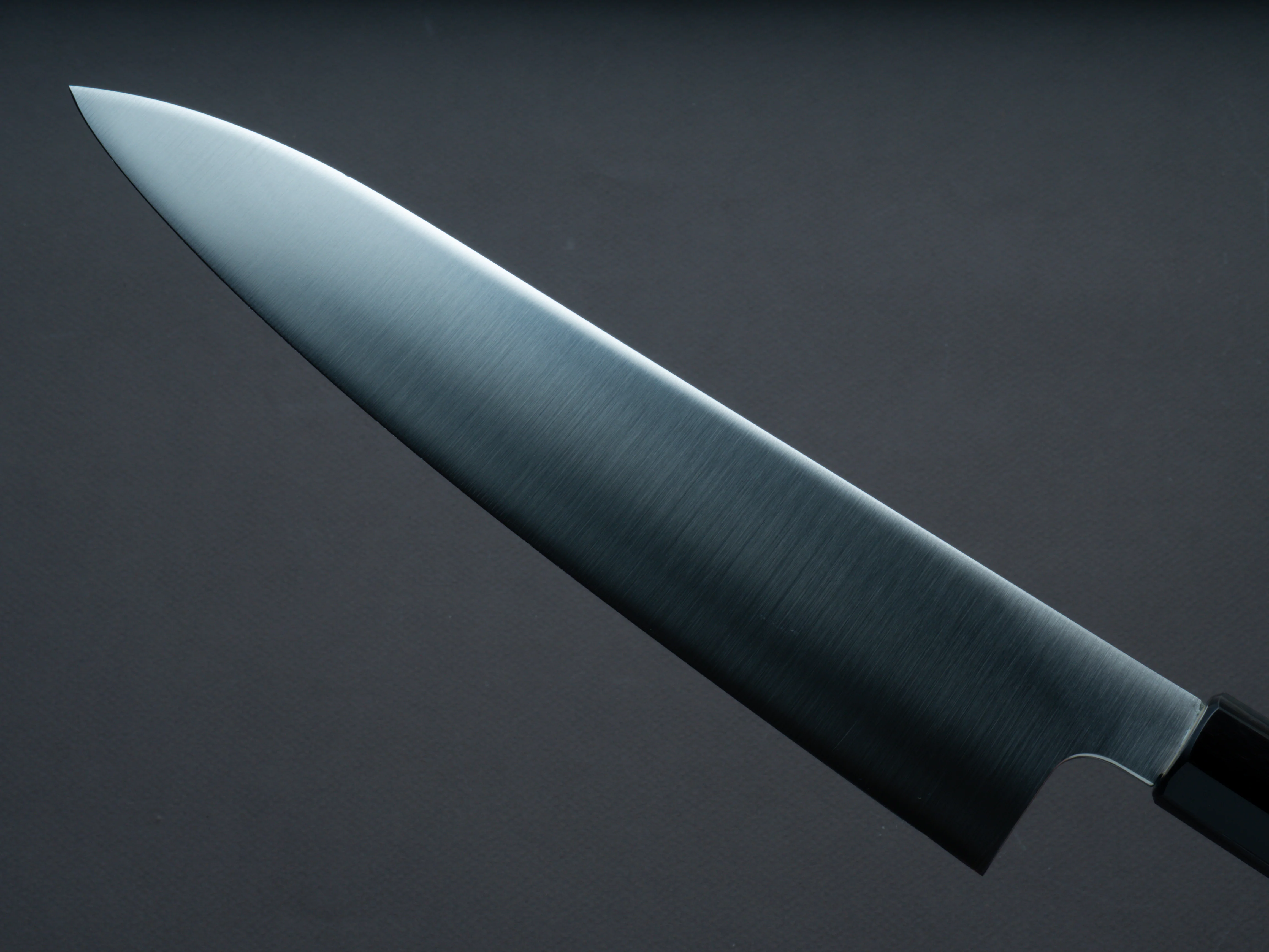 Hitohira - FJ - VG10 - Gyuto - 240mm - Magnolia Wood Handle - Image 3