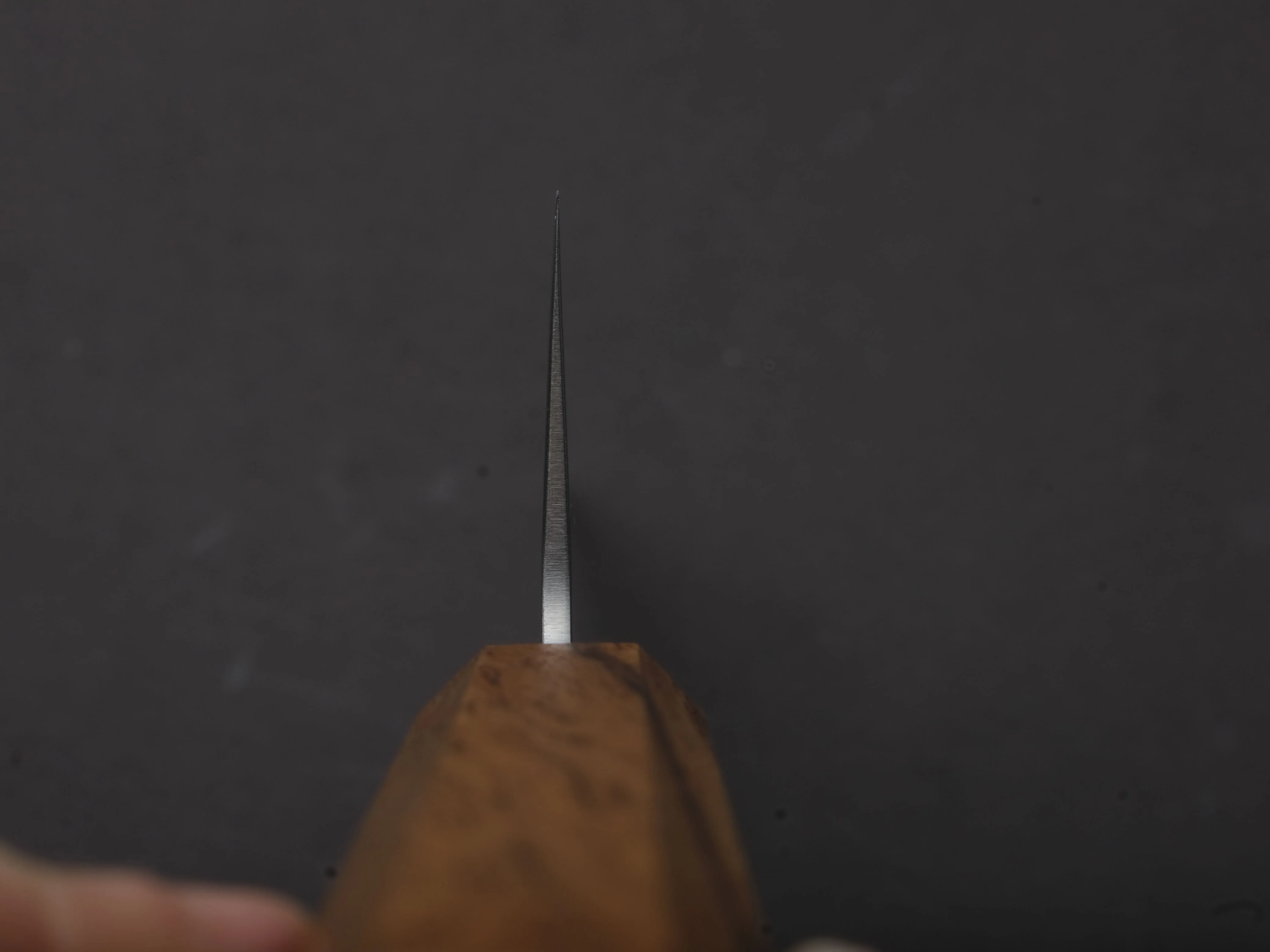Hitohira - Futana - SLD - Nashiji - Gyuto - 210mm - Oak Handle - Image 6