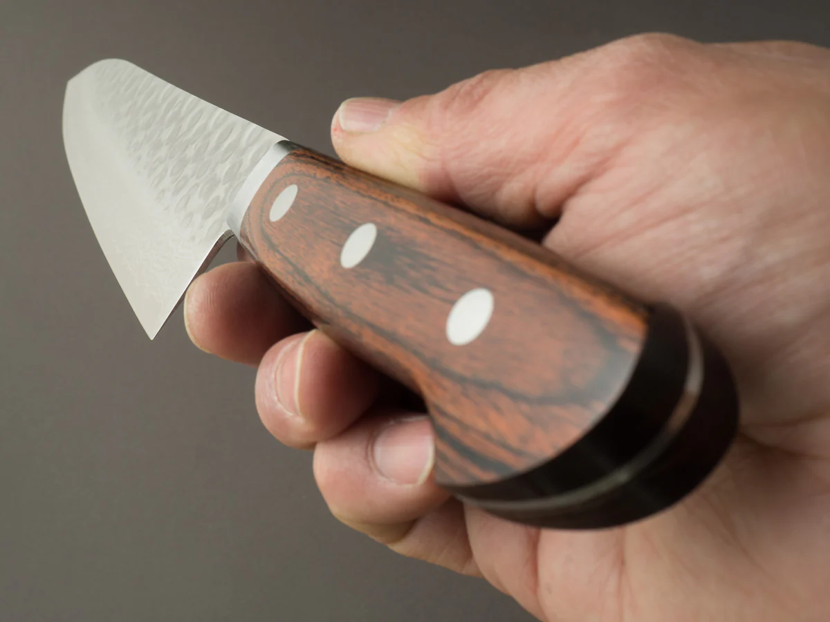Hitohira - HG - Tsuchime Damascus - 210mm Gyuto - Western Handle - Image 9