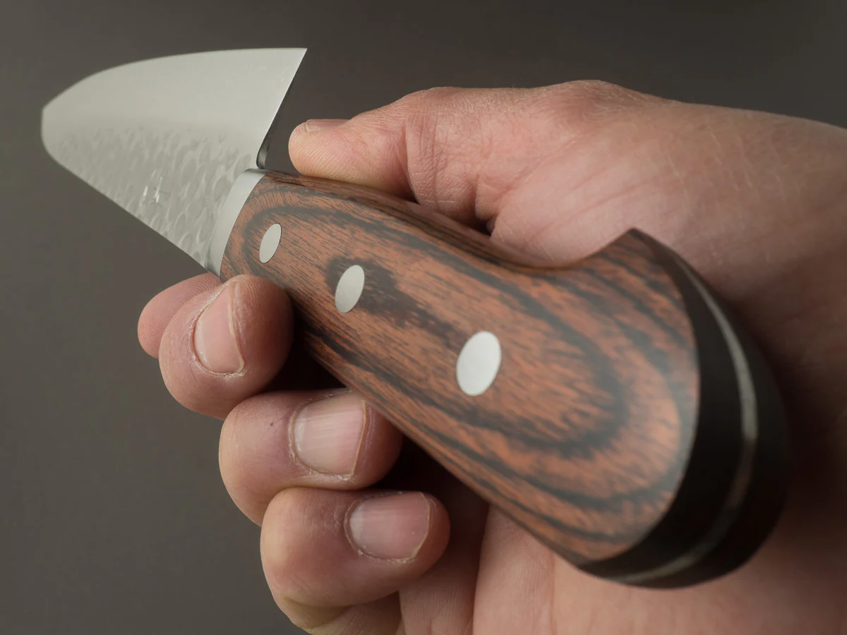 Hitohira - HG - Tsuchime Damascus - 240mm Gyuto - Western Handle - Image 9