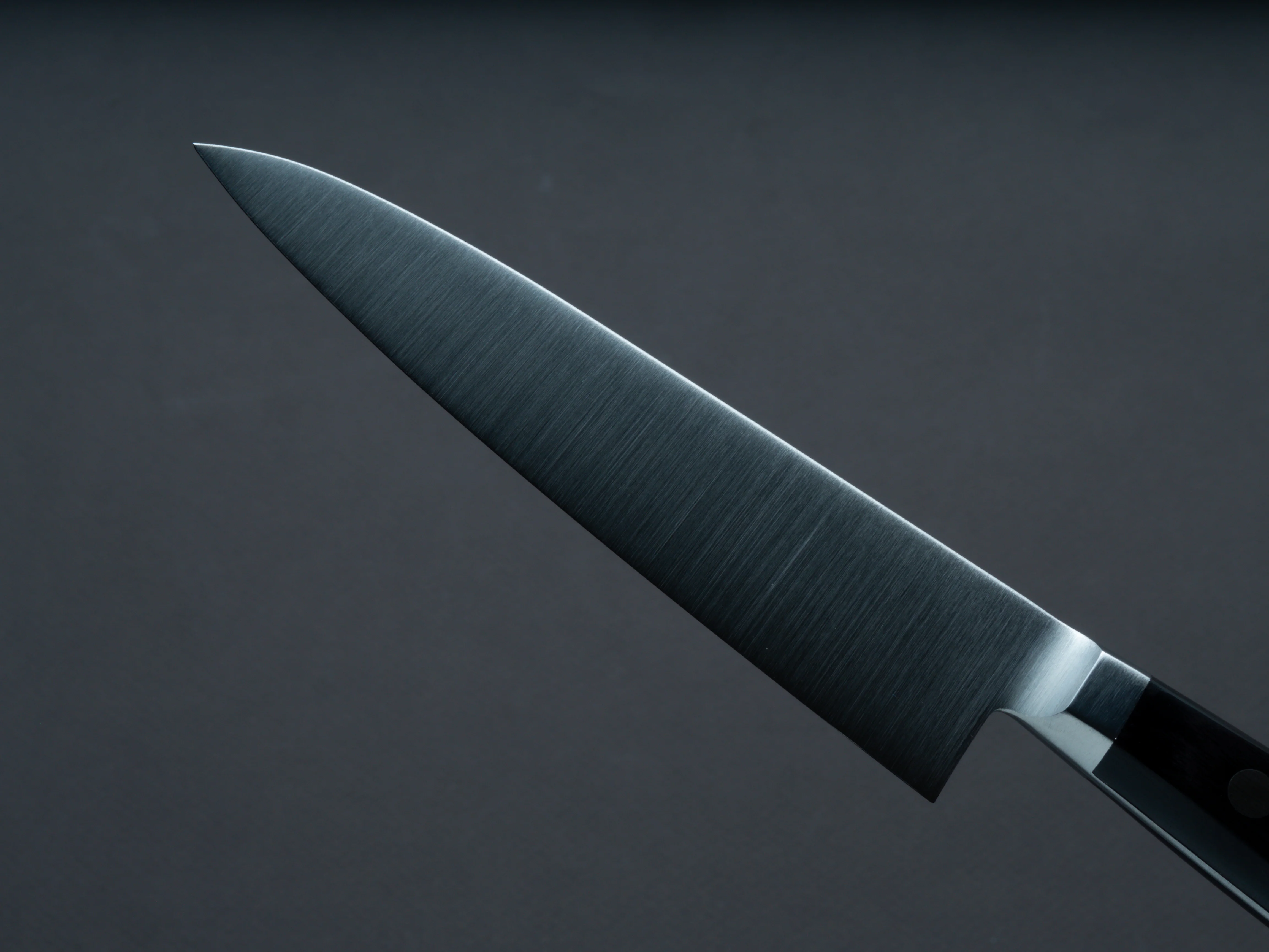 Hitohira - Imojiya TH - Stainless - Migaki - Petty - 120mm - Western Handle - Image 3