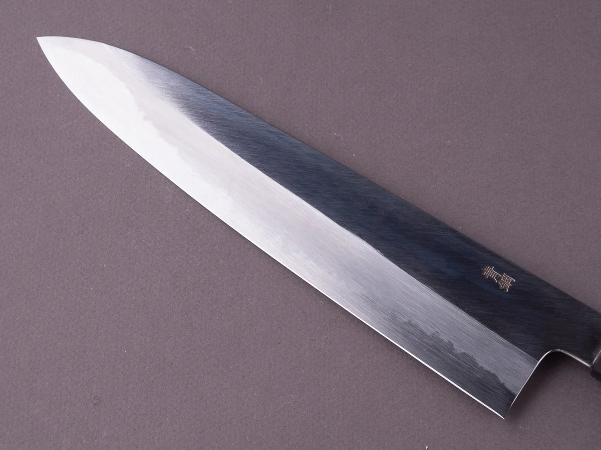 Hitohira - Kikuchiyo x Ren - Blue #2 - 240mm Gyuto - Magnolia Handle - Image 4