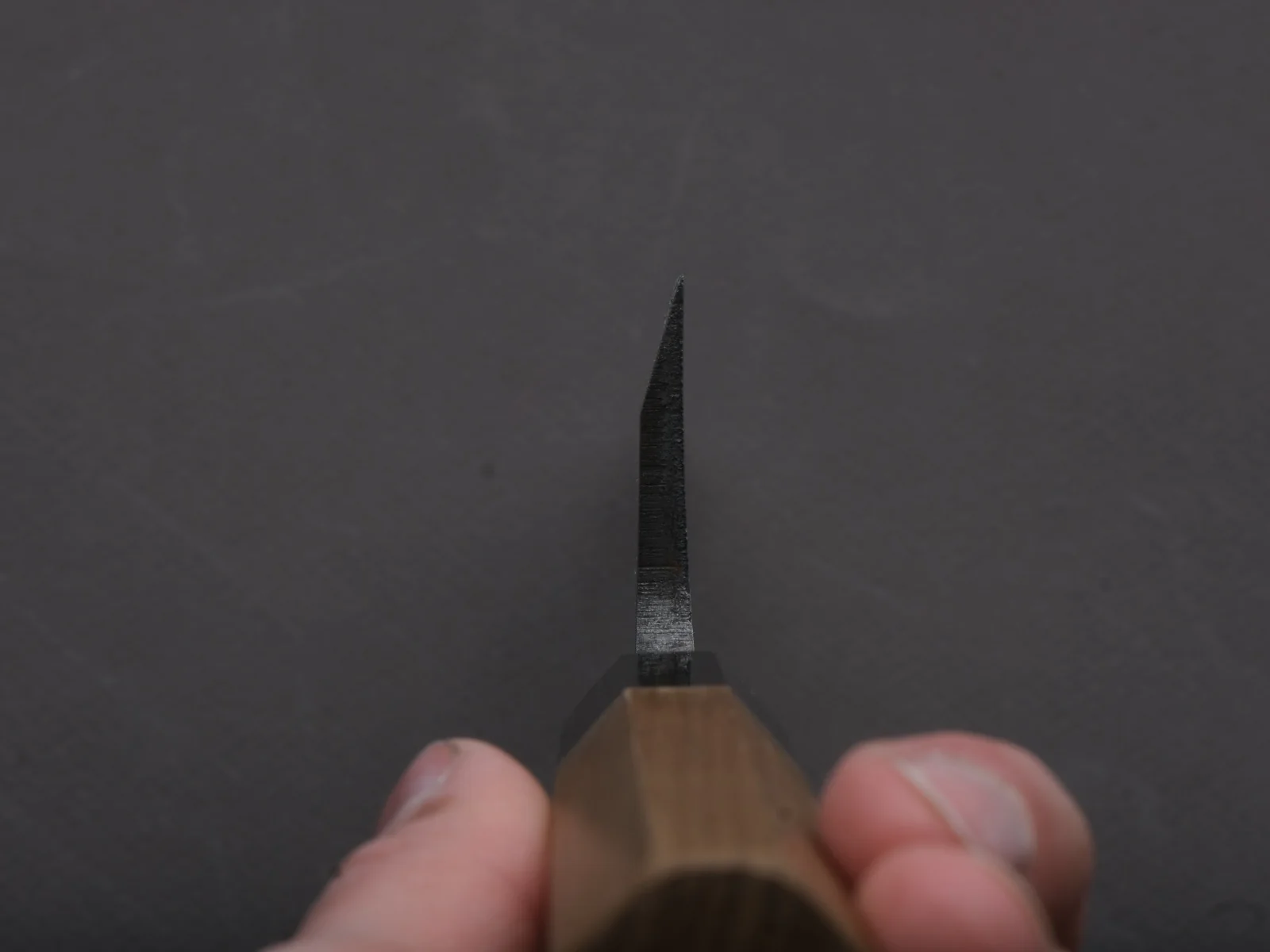 Hitohira - Silver #3 - Deba - 165mm - Magnolia Wood Handle - Image 6