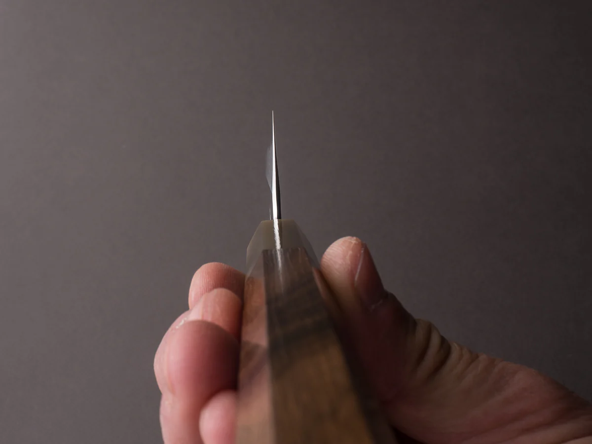 Hitohira - Tanaka x Kyuzo - Blue #1 Migaki - 210mm Gyuto - Ziricote Handle - Image 7