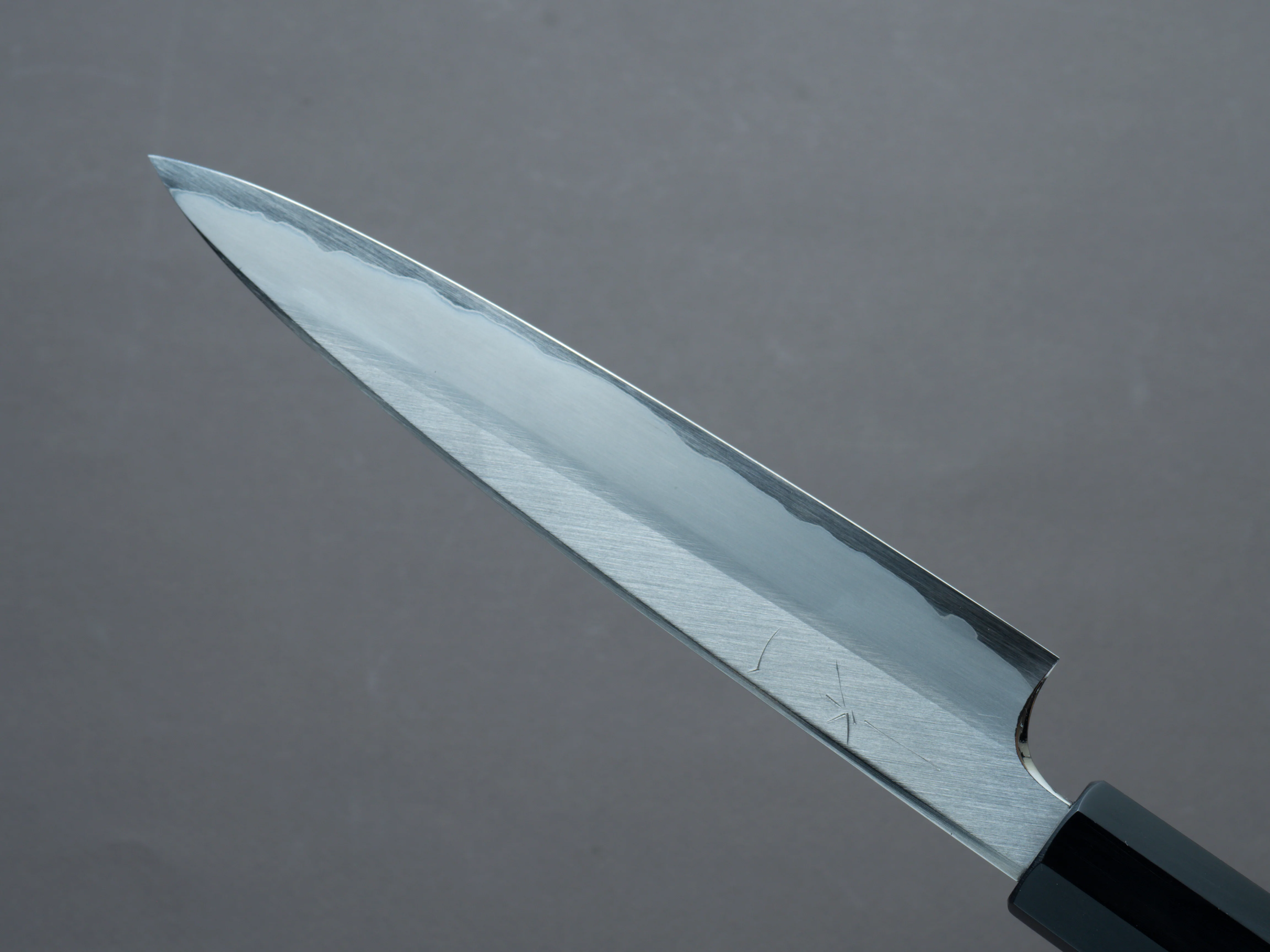Hitohira - Togashi - Blue #1 Stainless Clad - 165mm Petty - Ziricote Handle - Image 4