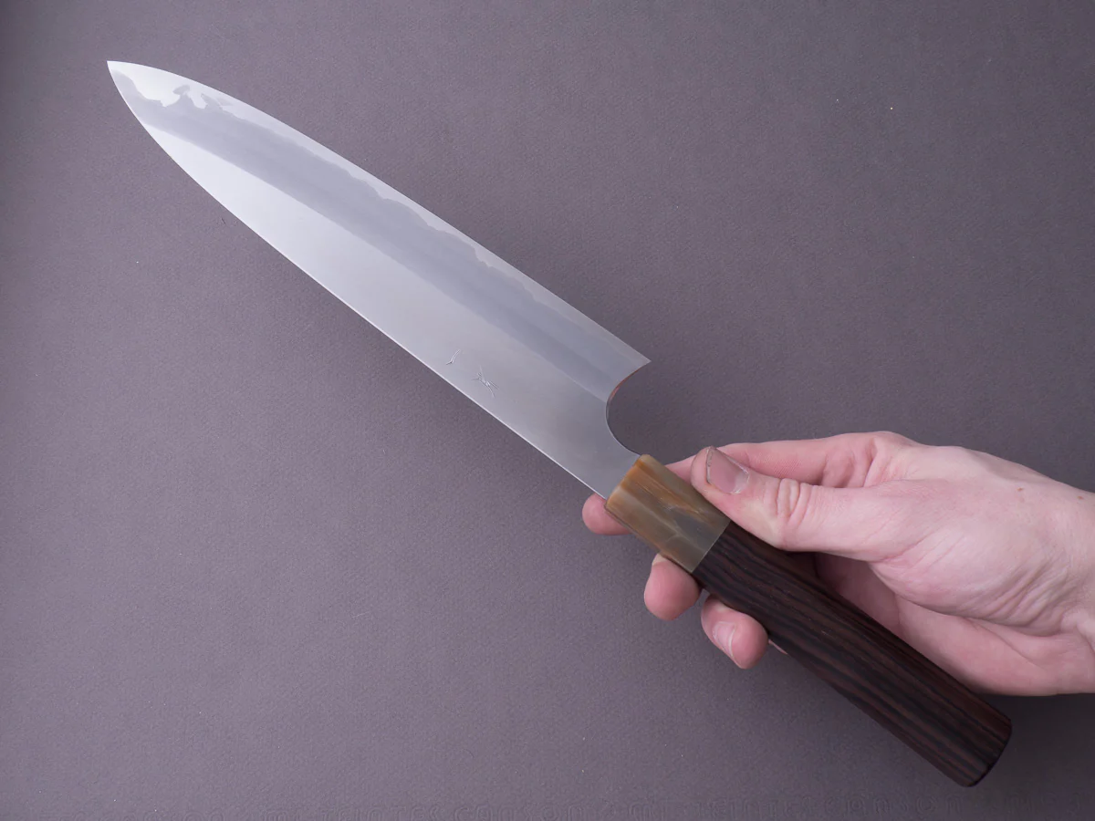 Hitohira - Togashi - Blue #1 Stainless Clad - 240mm Gyuto - Tahei Makassar Ebony Handle - Image 2