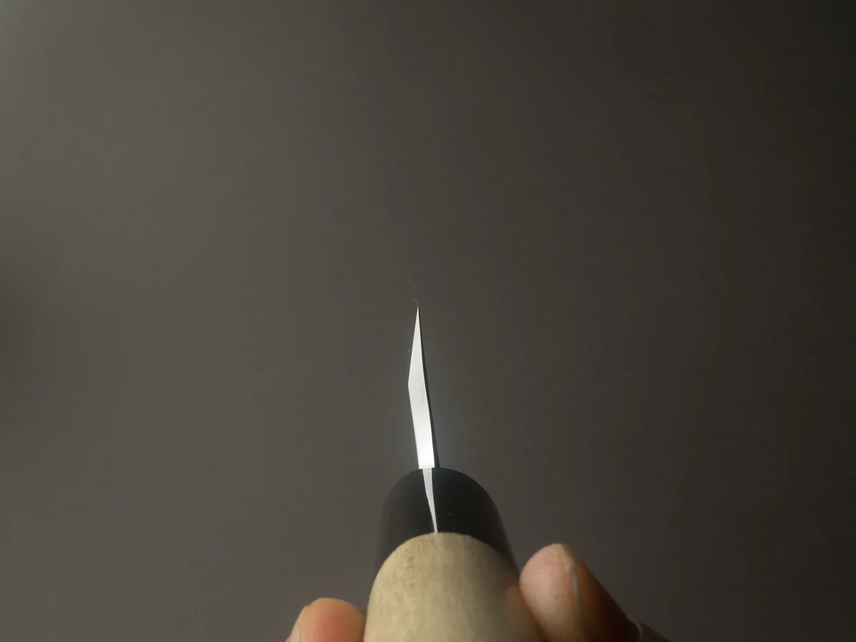 Hitohira - Togashi - Tachi - White #2 - 240mm Mioroshi Deba - D-Shaped Ho Wood Handle - Image 10