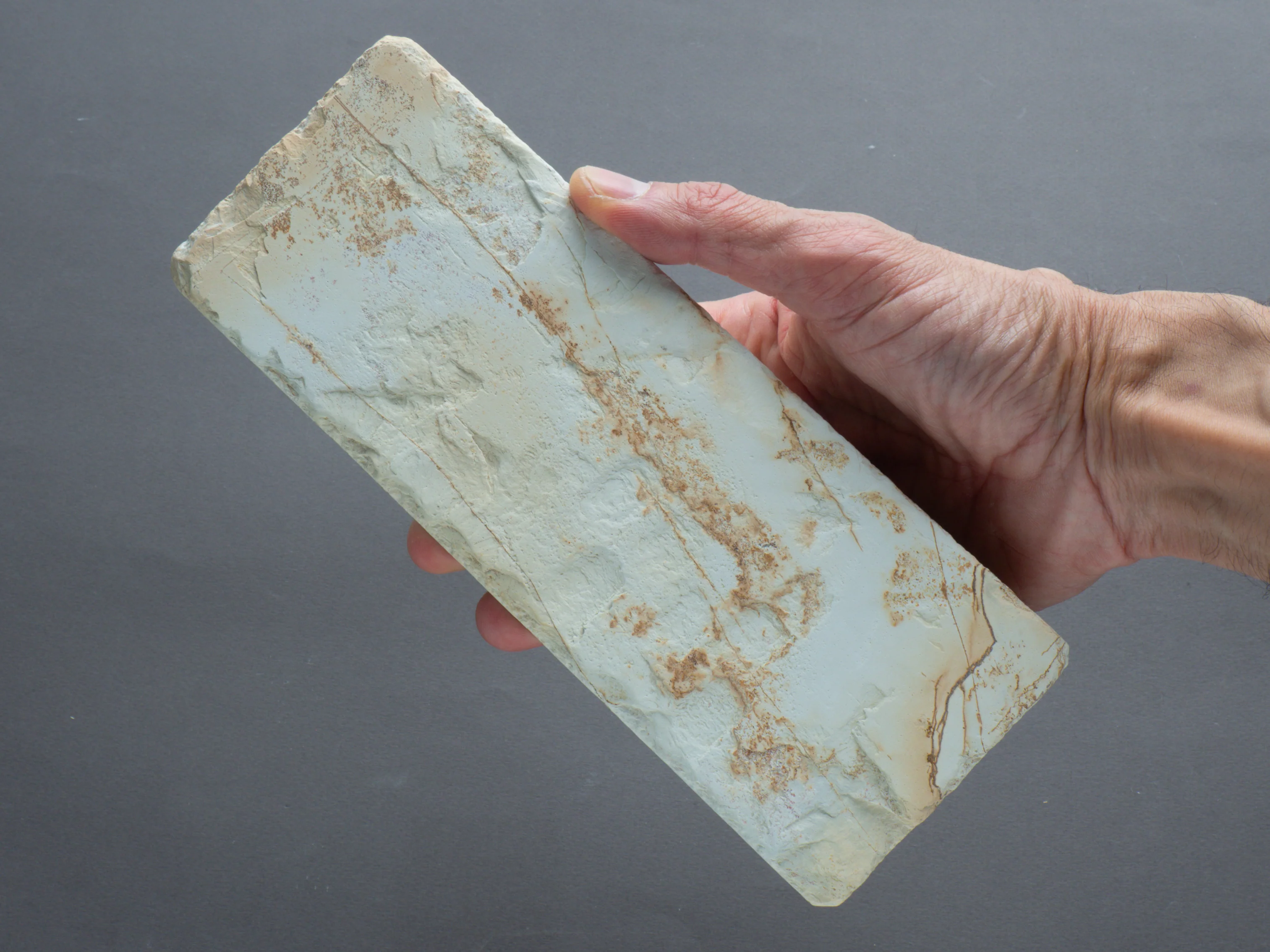 Komon - Natural Stone - Premium Pick - Shiro Suita - Image 7