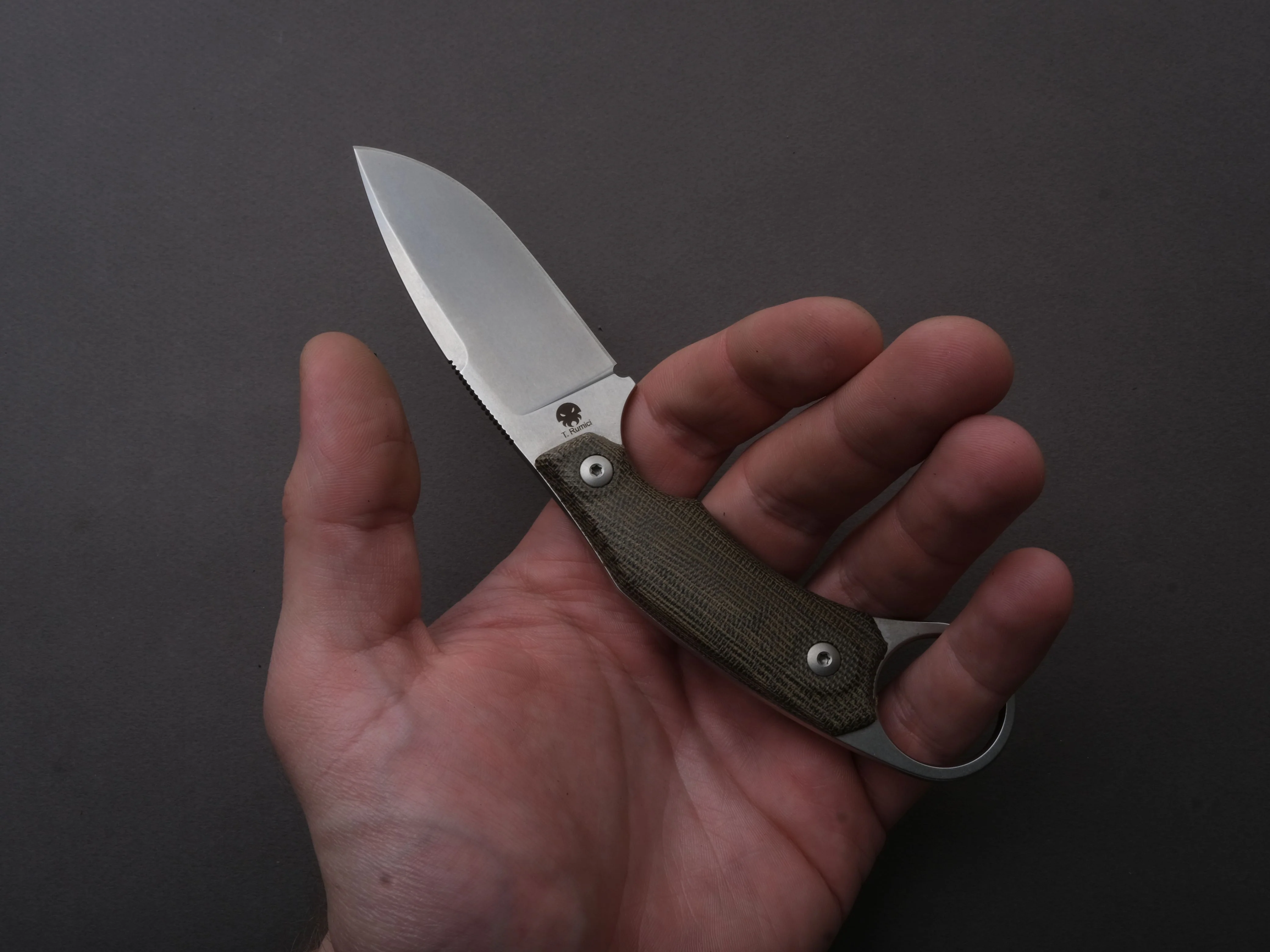 lionSTEEL - Fixed Blade - H2 - M390 - 75mm - Green Micarda - Kydex Sheath - Image 4