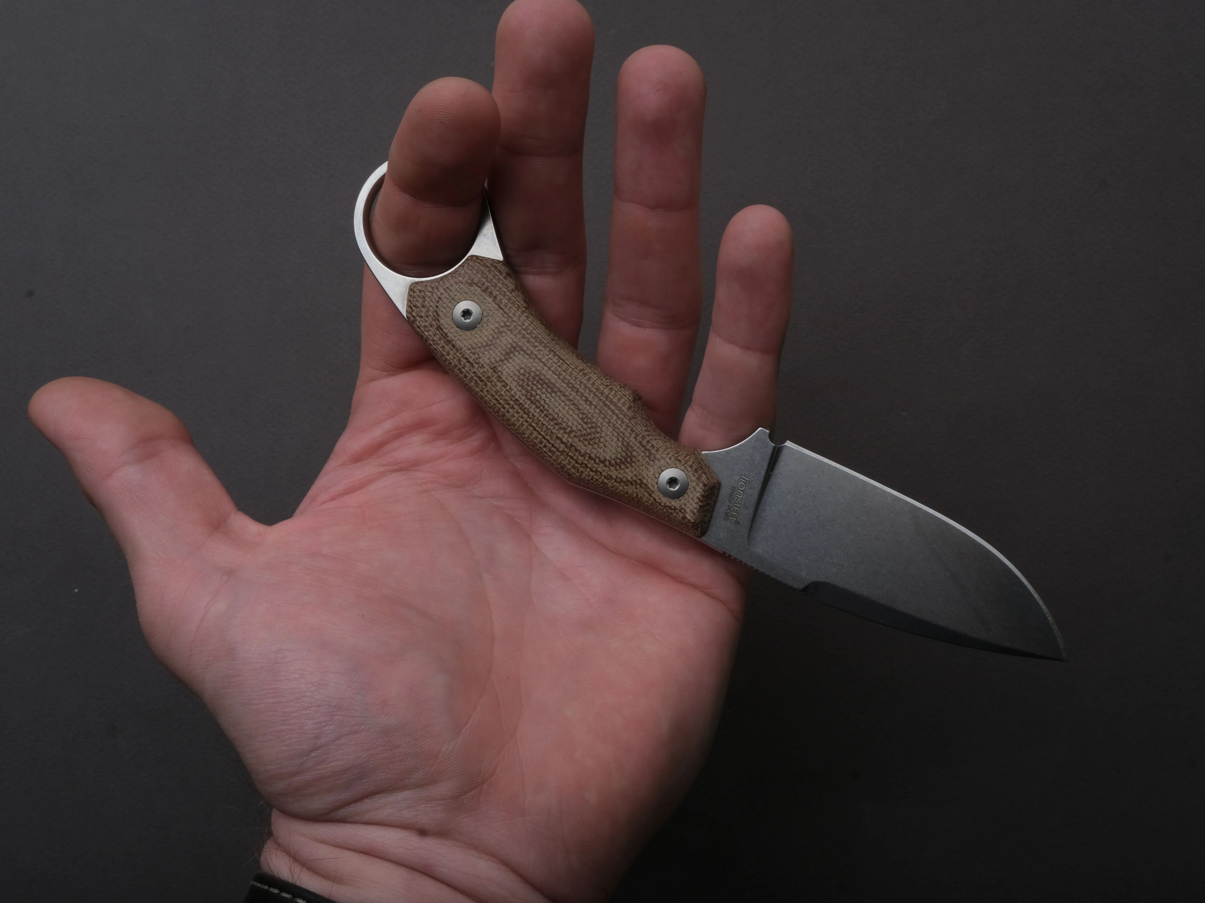 lionSTEEL - Fixed Blade - H2 - M390 - 75mm - Natural Micarda - Kydex Sheath - Image 5