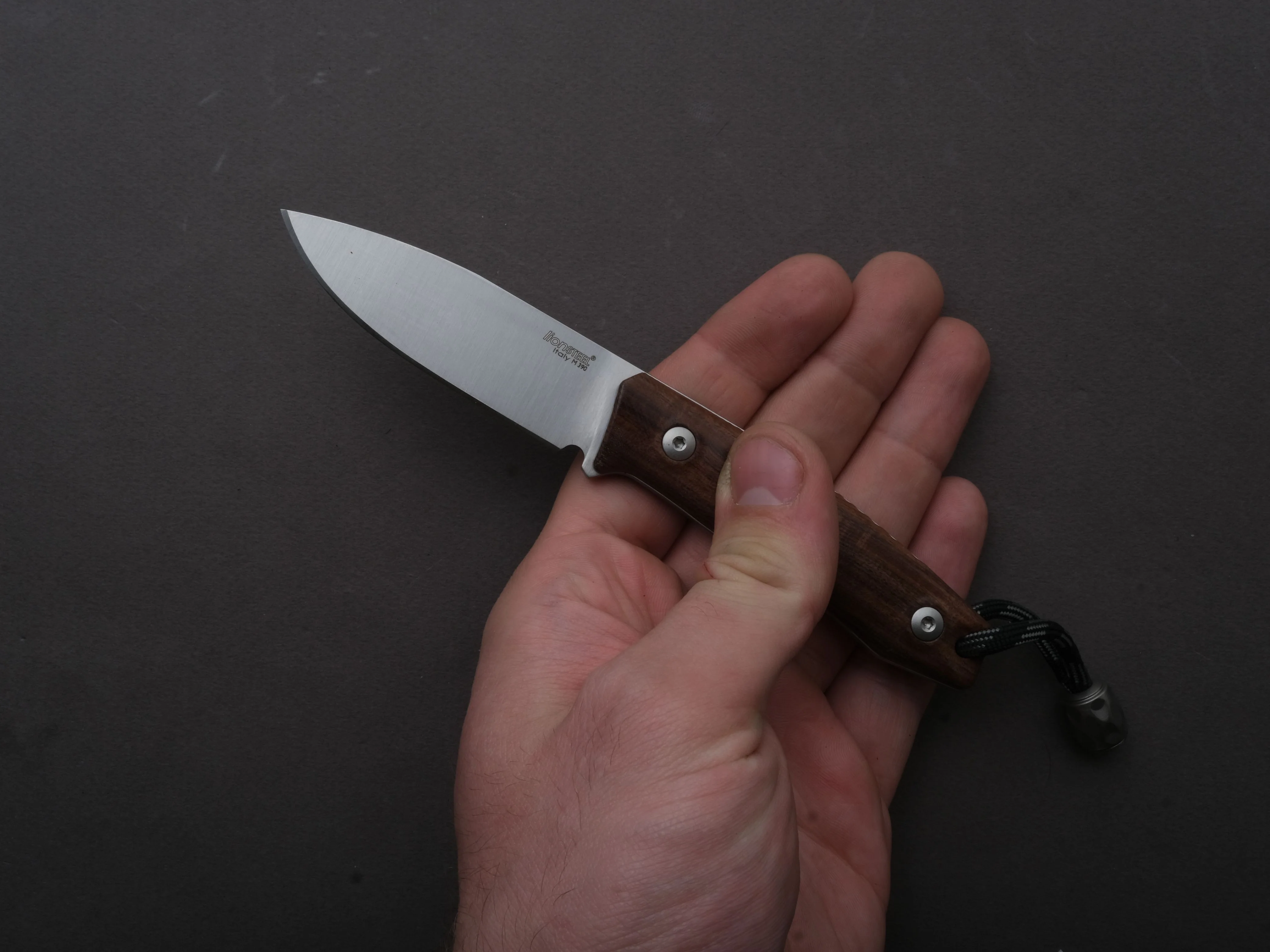 lionSTEEL - Fixed Blade - M1 - M390 - 75mm - Santos Handle - Leather Sheath - Image 5