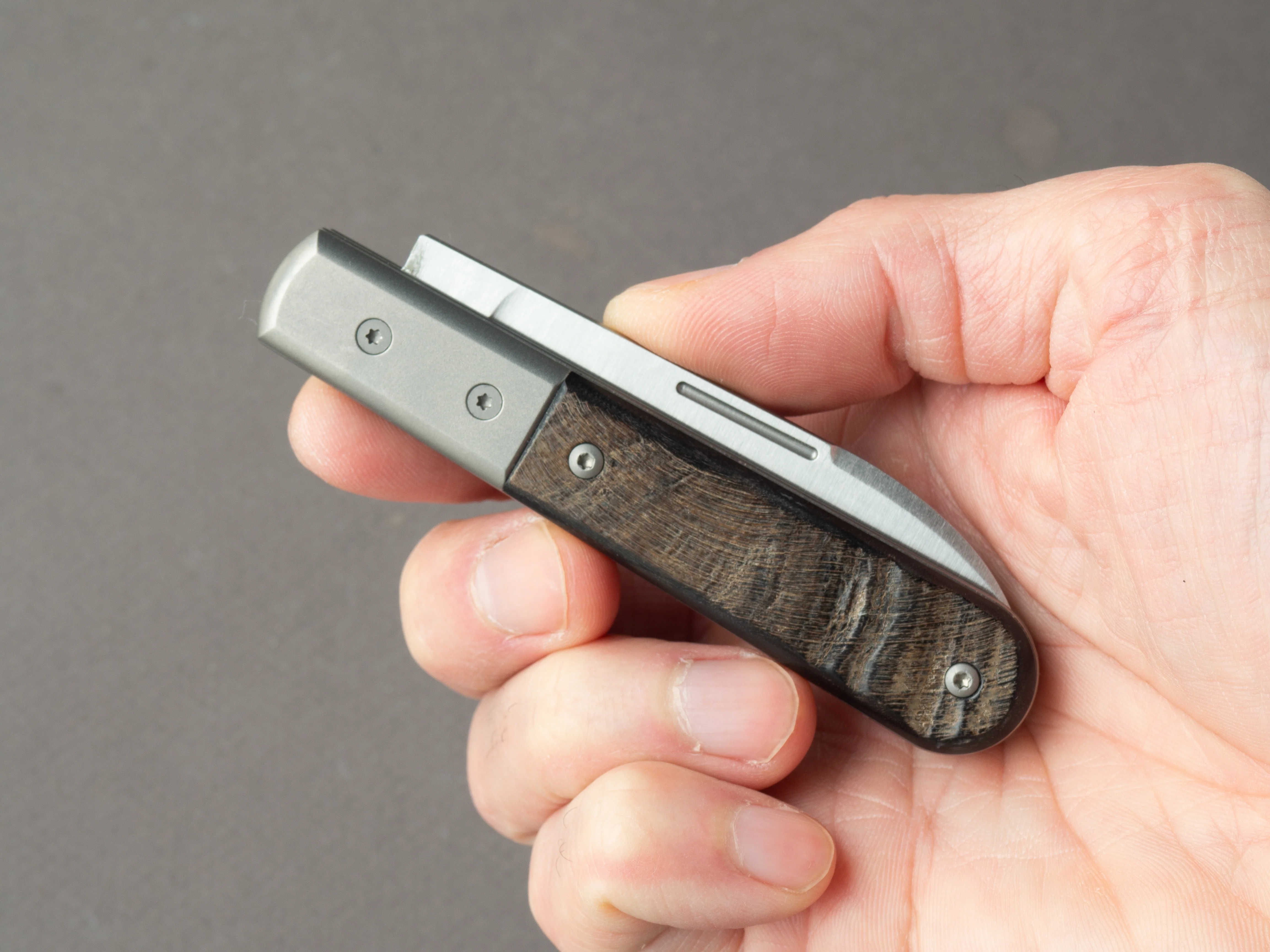 lionSTEEL - Folding Knife - Barlow - Roundhead - 65mm - M390 - Slip Joint - Ram Horn w/ Metal Bolster - Image 6