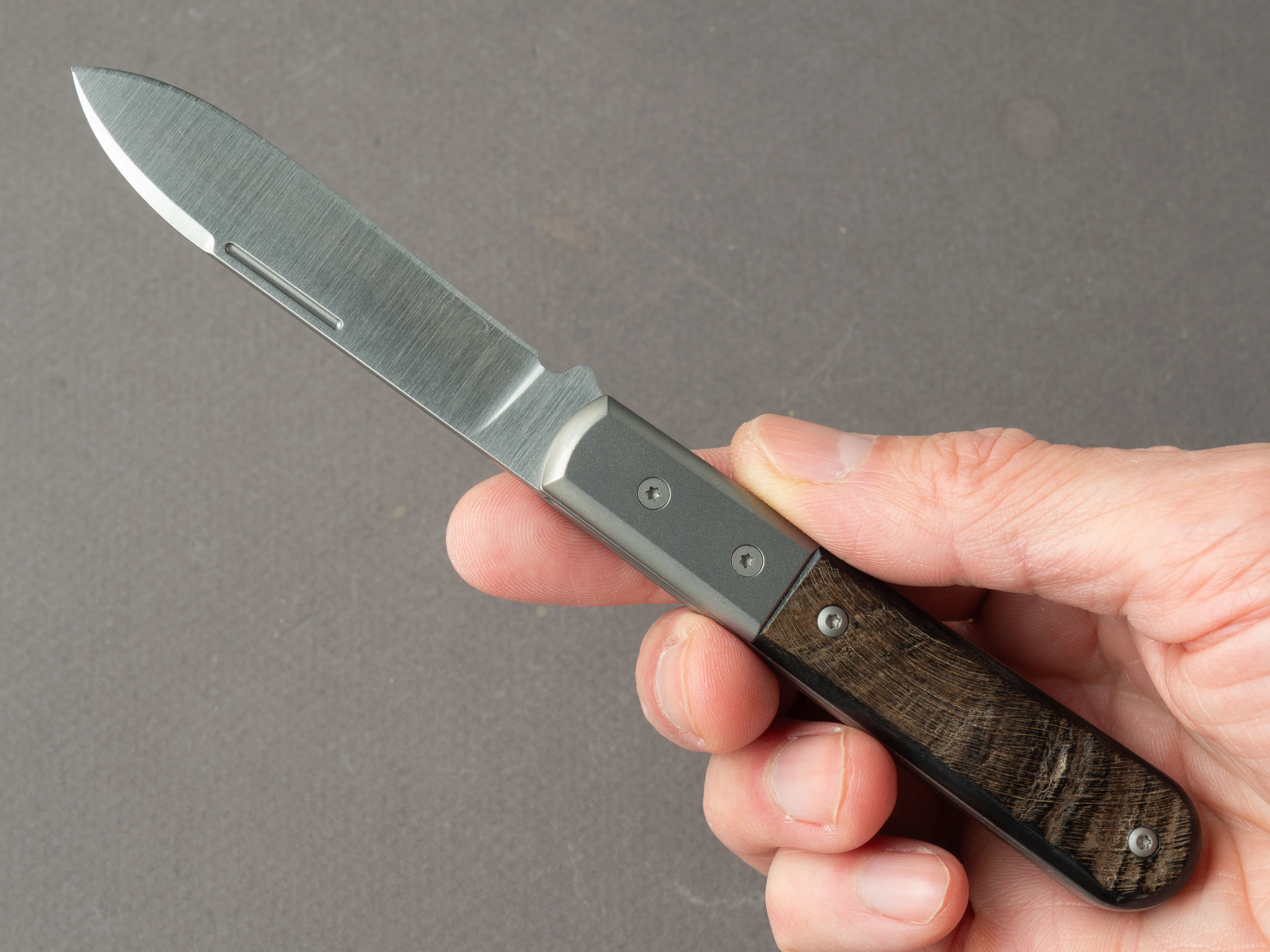lionSTEEL - Folding Knife - Barlow - Roundhead - 65mm - M390 - Slip Joint - Ram Horn w/ Metal Bolster - Image 8