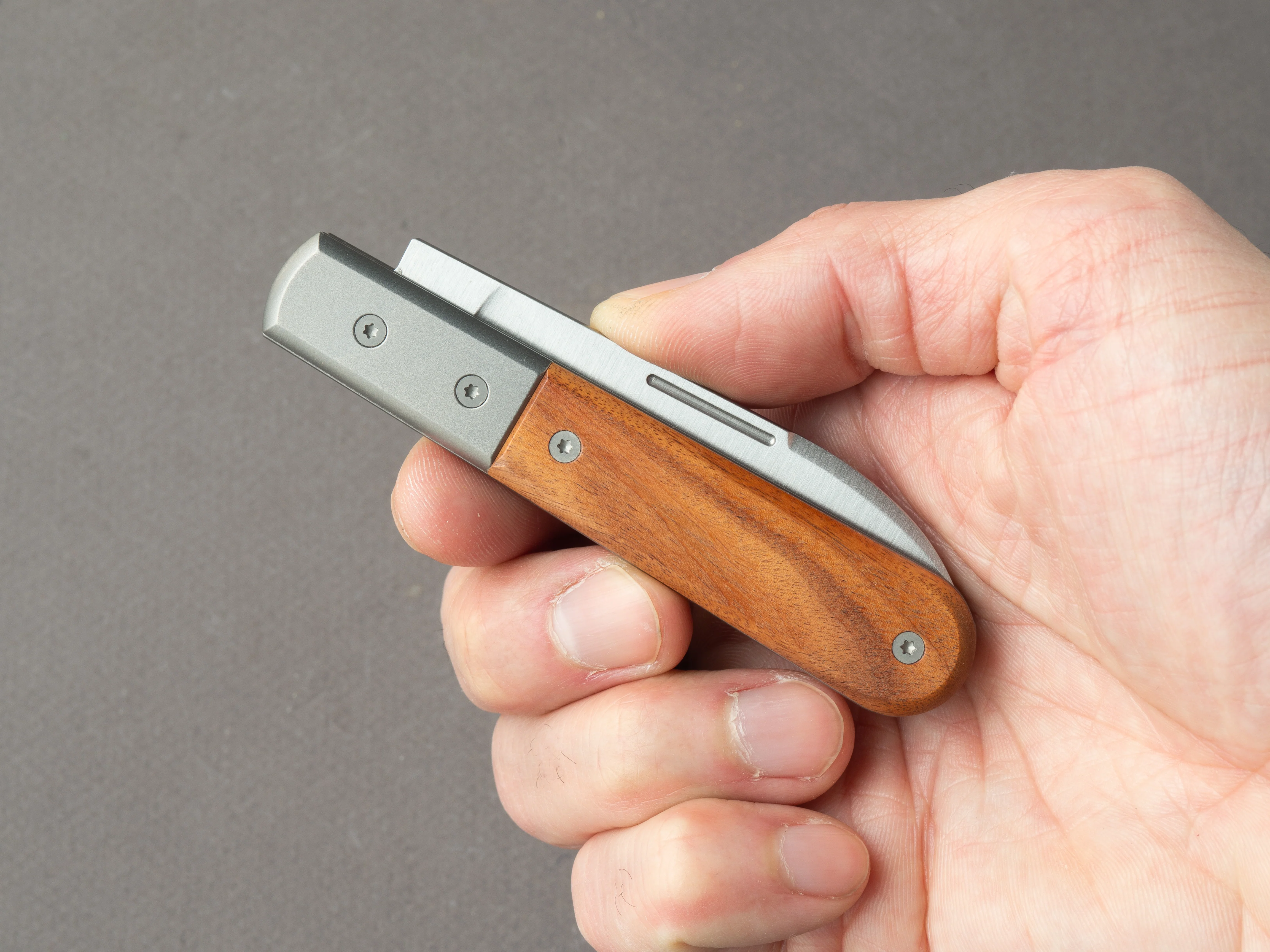 lionSTEEL - Folding Knife - Barlow - Roundhead - 65mm - M390 - Slip Joint - Santos w/ Metal Bolster - Image 6