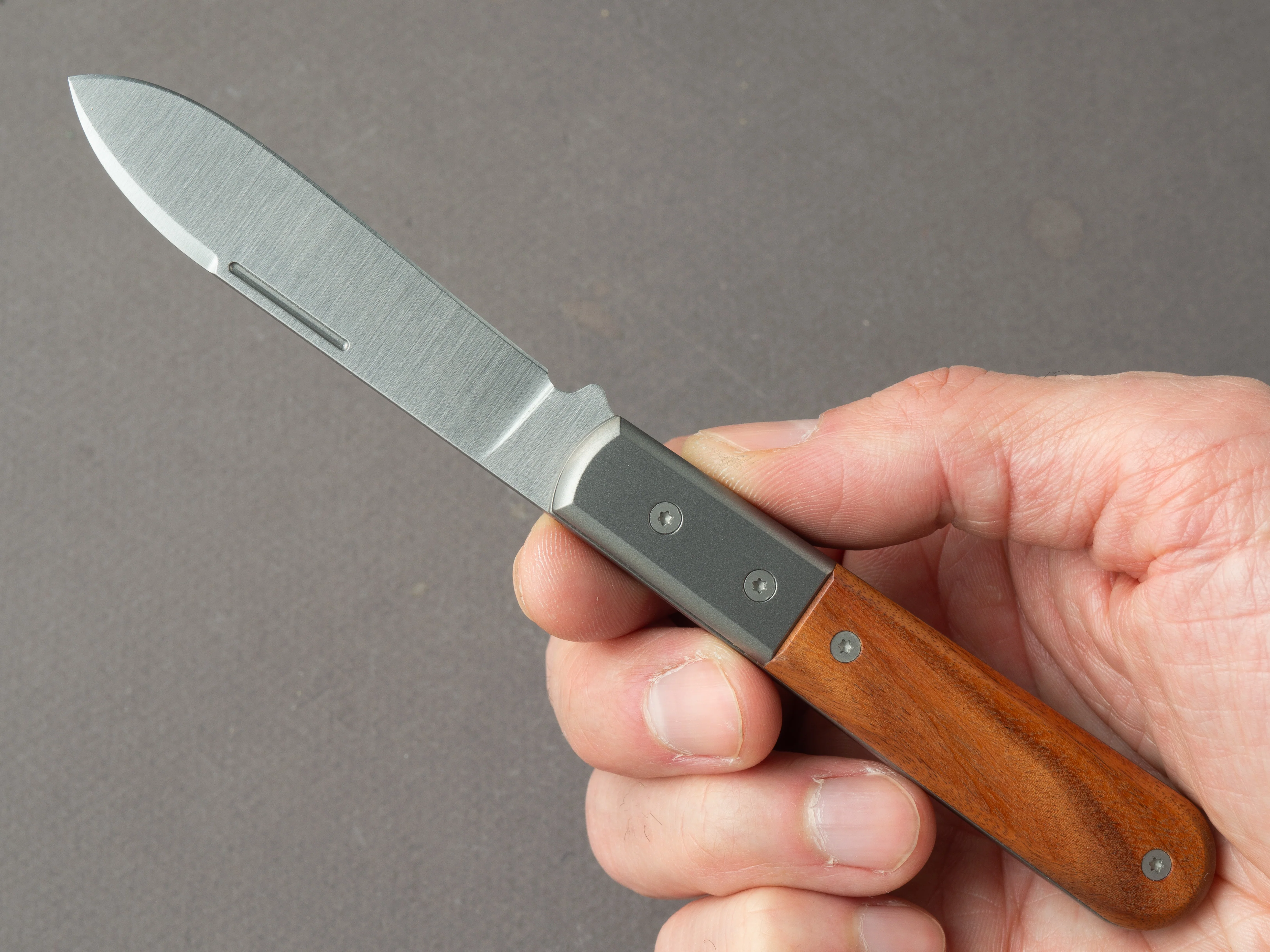 lionSTEEL - Folding Knife - Barlow - Roundhead - 65mm - M390 - Slip Joint - Santos w/ Metal Bolster - Image 8