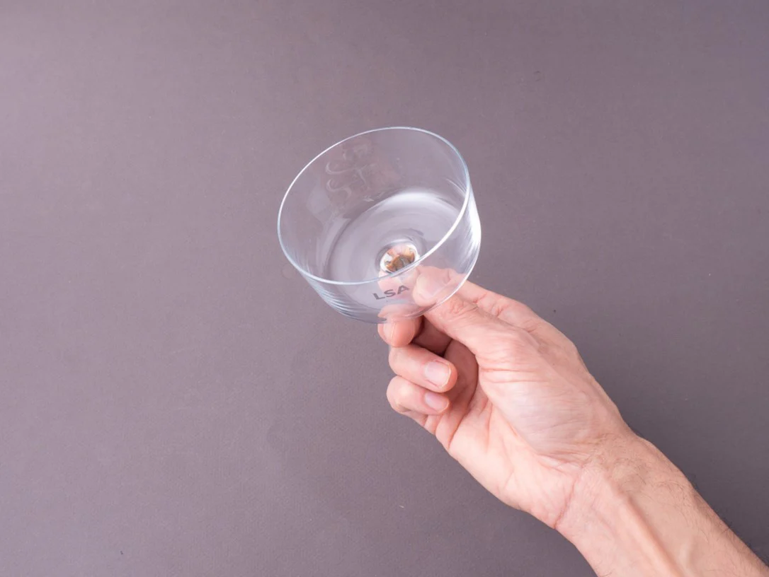 LSA International - 8oz Gio Champagne/Cocktail Glass - Set of 4 - Image 5