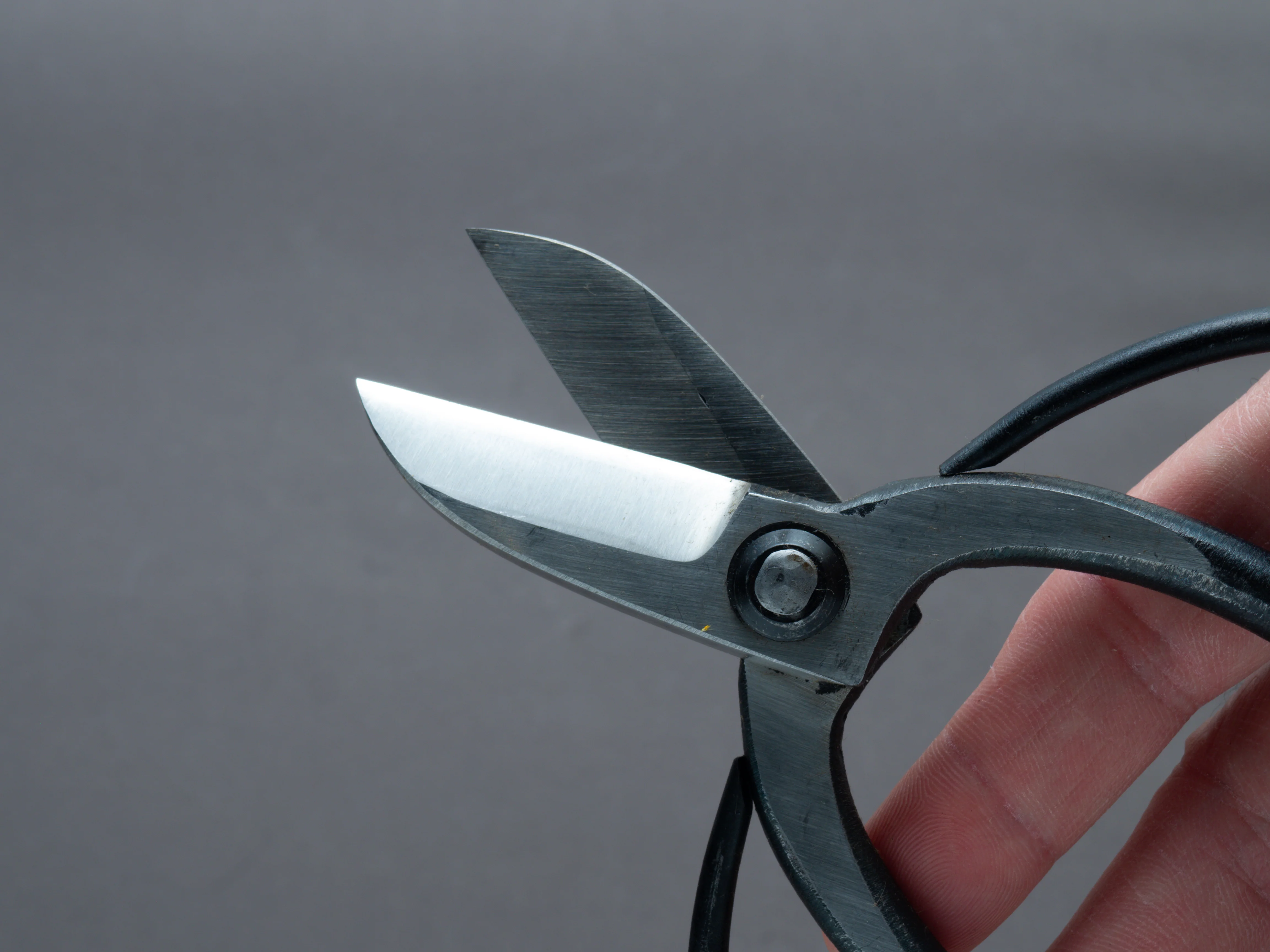 Morihei - Kisaku - Koryu Pruning Shears - 165mm (#82) - Image 4
