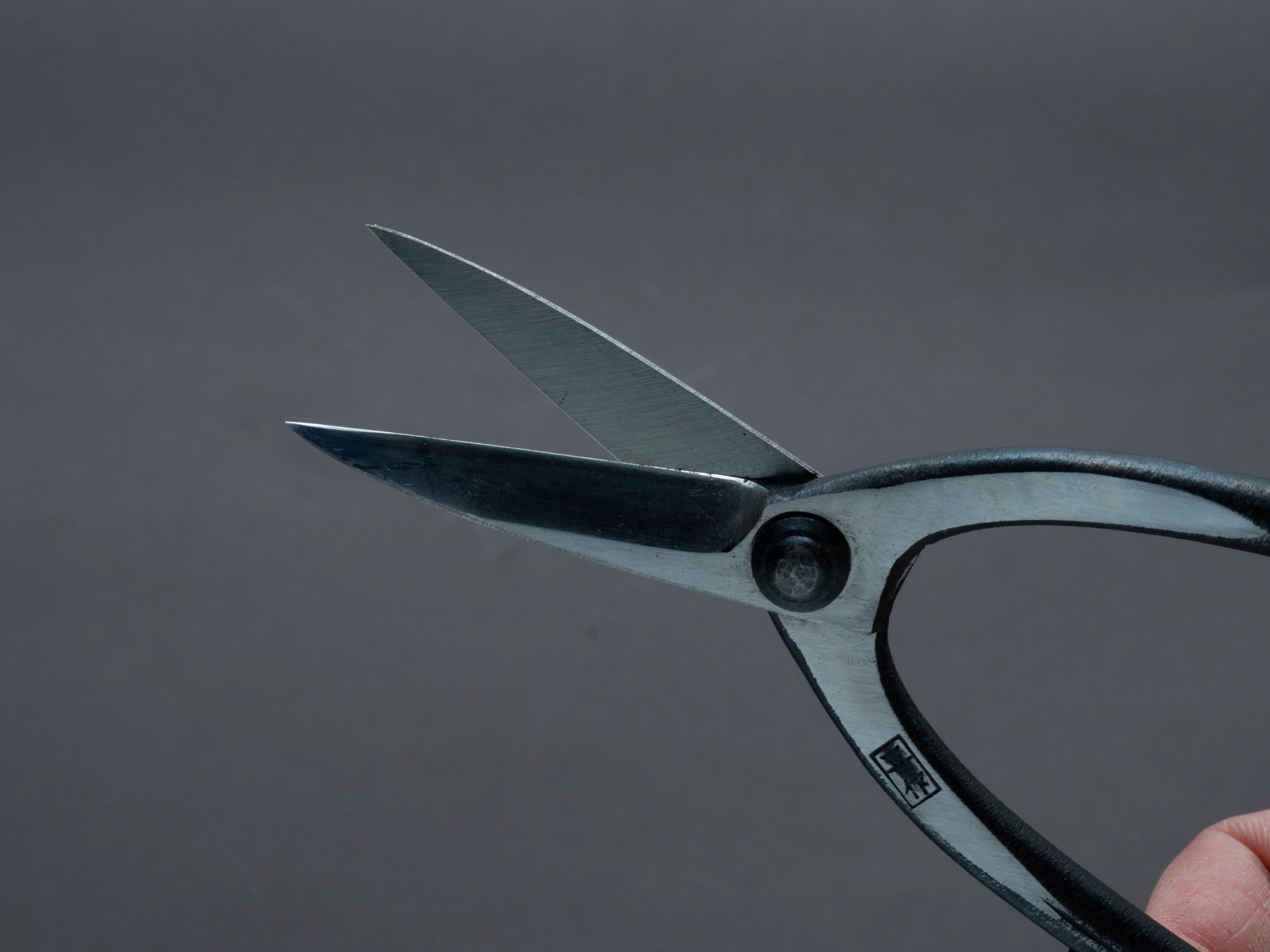 Morihei - Kisaku - Narrow Bonsai Pruning Shears - 195mm (#57) - Image 3