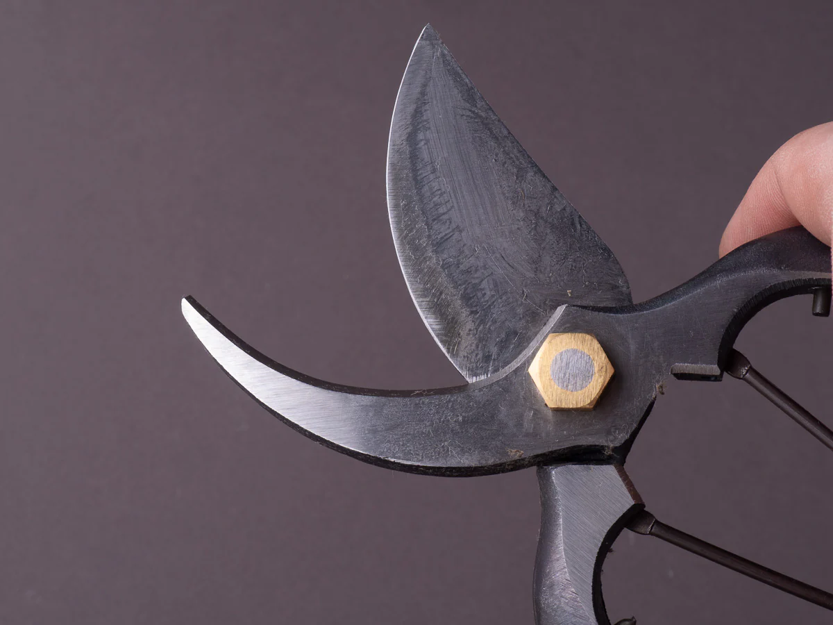 Morihei - Kisaku - Sentei - Pruning Shears 200mm (#21) - Image 5