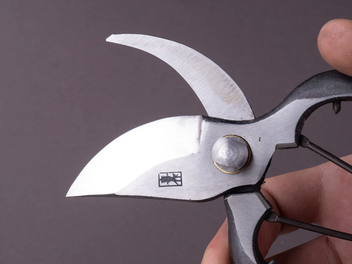 Morihei - Kisaku - Sentei - Pruning Shears 200mm (#21) - Image 6