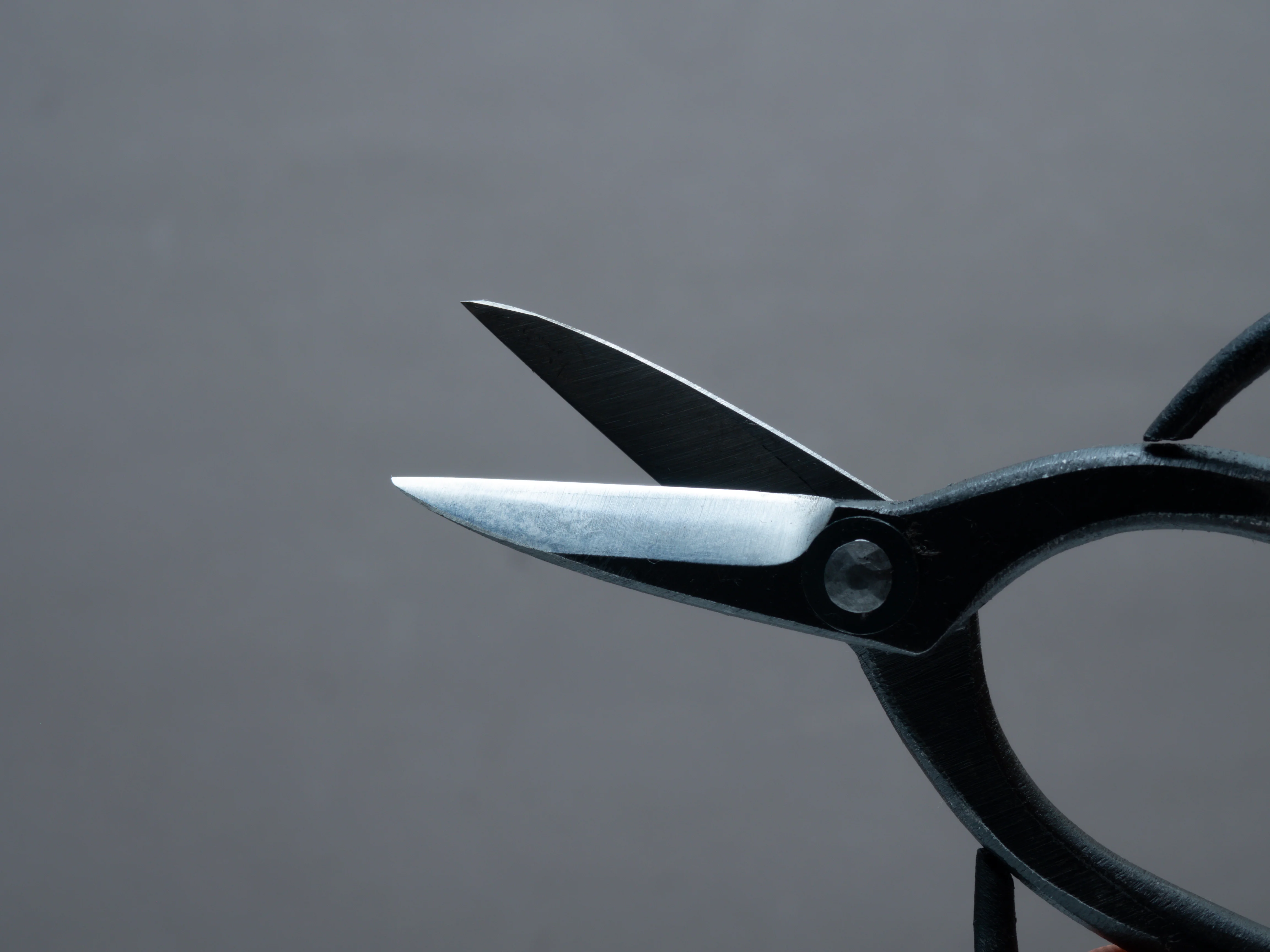Morihei - Kisaku - Small Bonsai - Pruning Shears - 120mm (#60) - Image 3