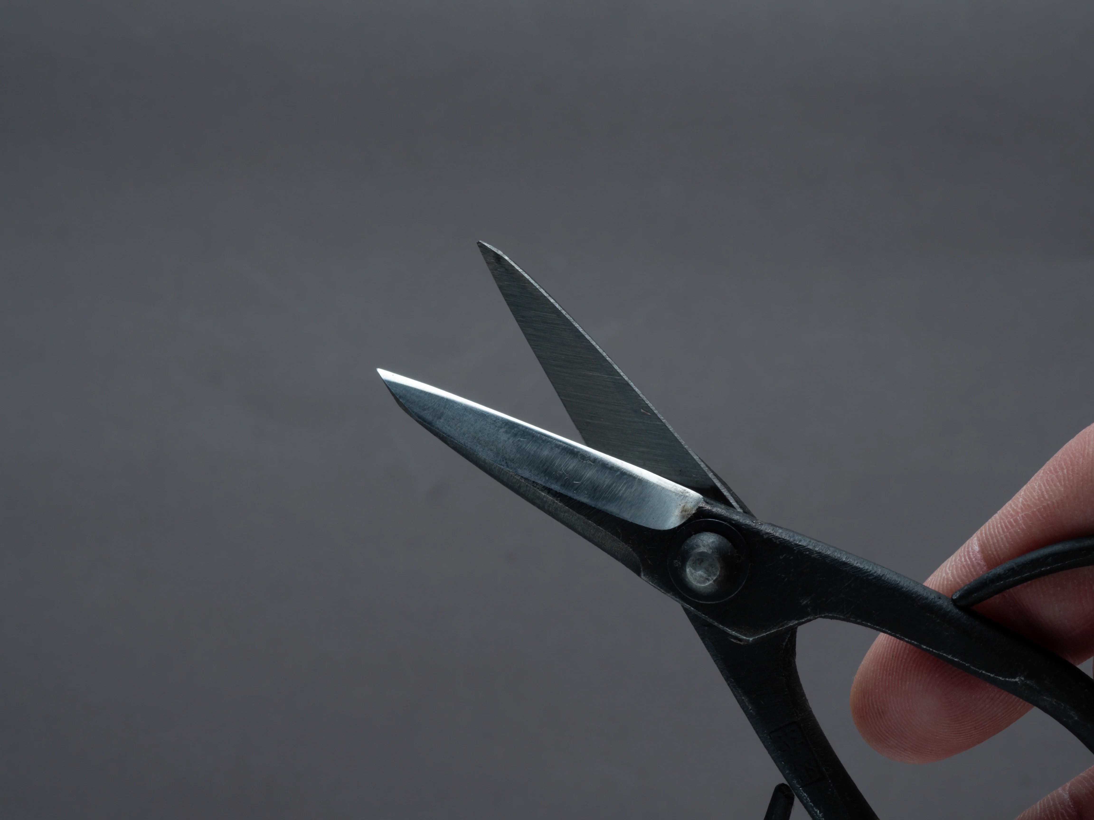 Morihei - Kisaku - Small Mekiri - Pruning Shears - 115mm (#61) - Image 3