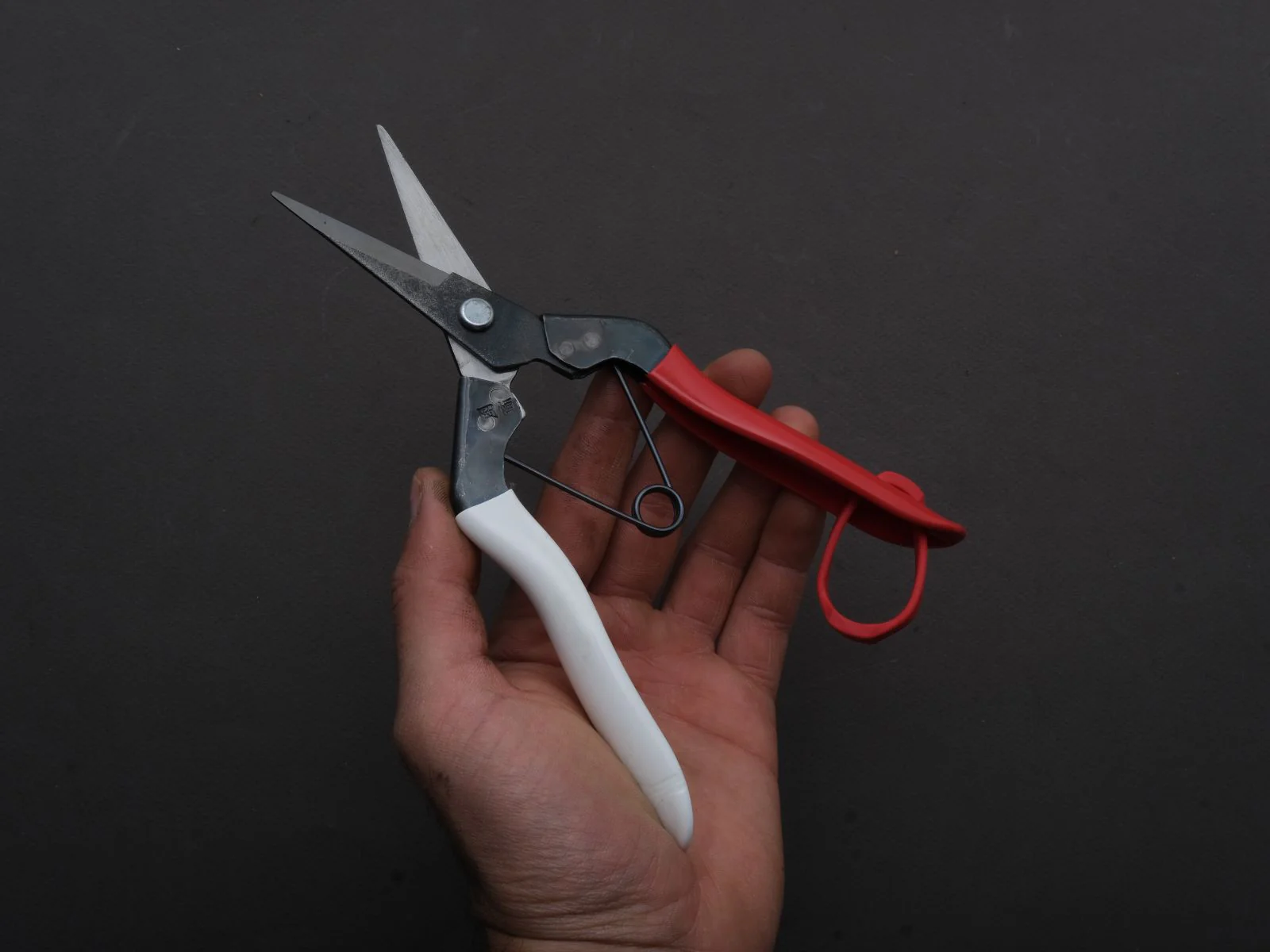 Okatsune - Mekiri - Pruning Shears (#304B) - Image 3