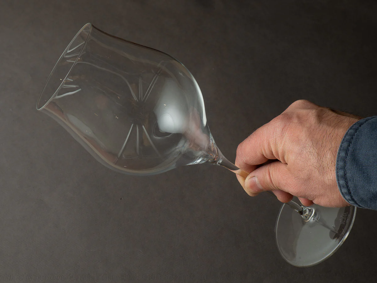 Rona - Glassware - Linea Umana - 16oz Sparkling Wine Glass - Image 5
