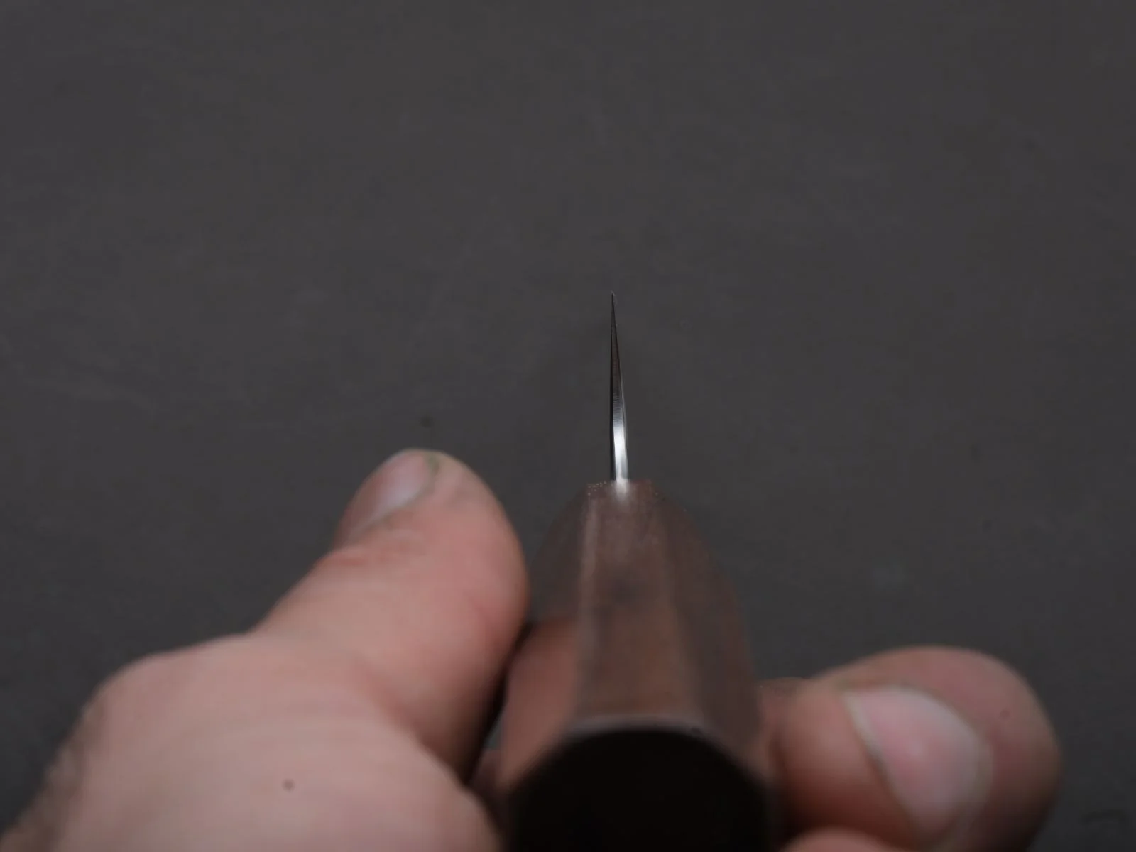 Ryusen - BLAZEN RYU WA - SG2 - Nashiji - Sujihiki - 260mm - Walnut Handle - Image 6