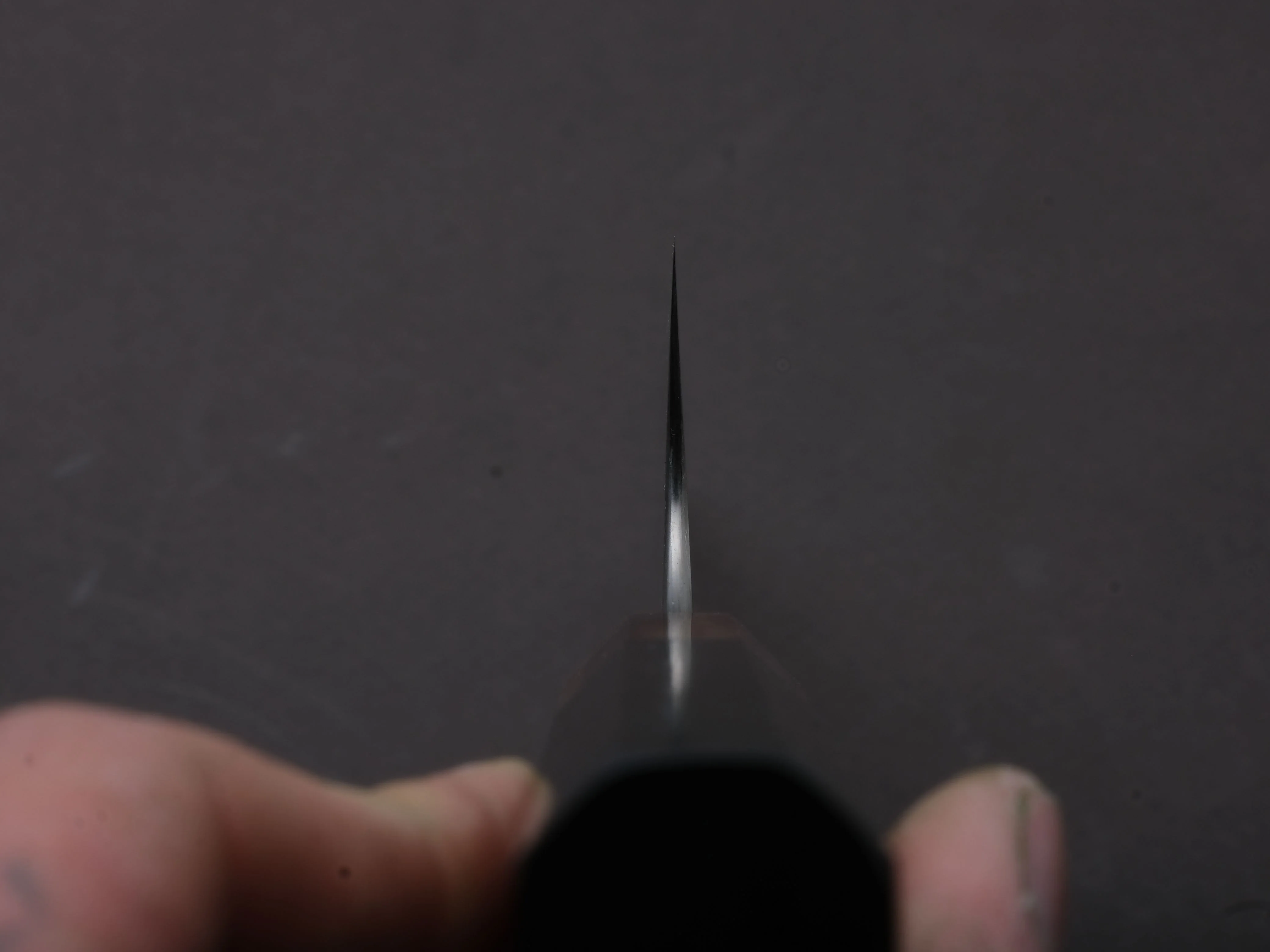Sakai Kikumori - MINAMO - ATS34 - Damascus - Gyuto - 210mm - Ebony Handle - Image 6