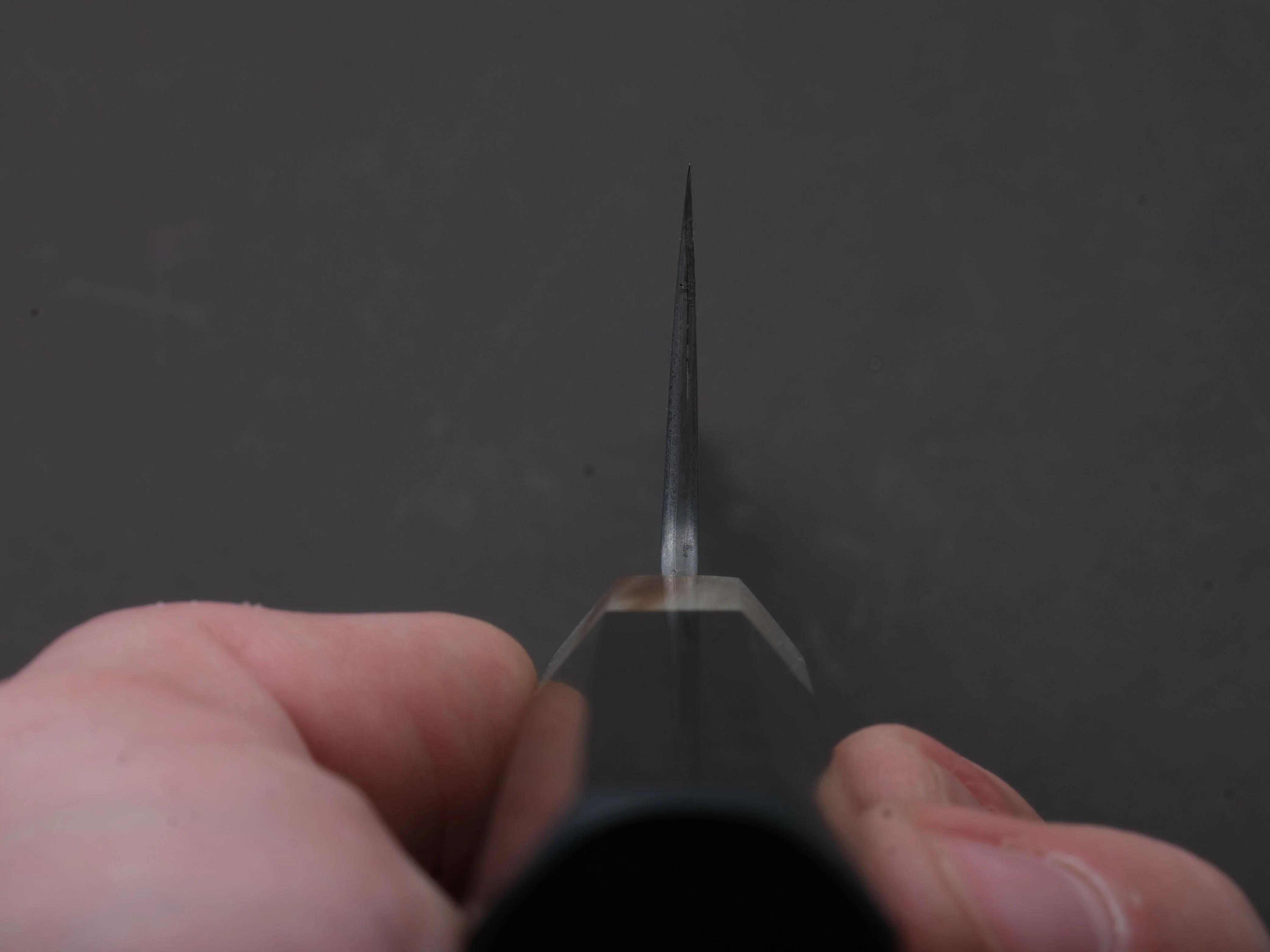 Sakai Kikumori - Seiun - VG10 - Damascus - Gyuto - 240mm - Ebony Handle - Image 6