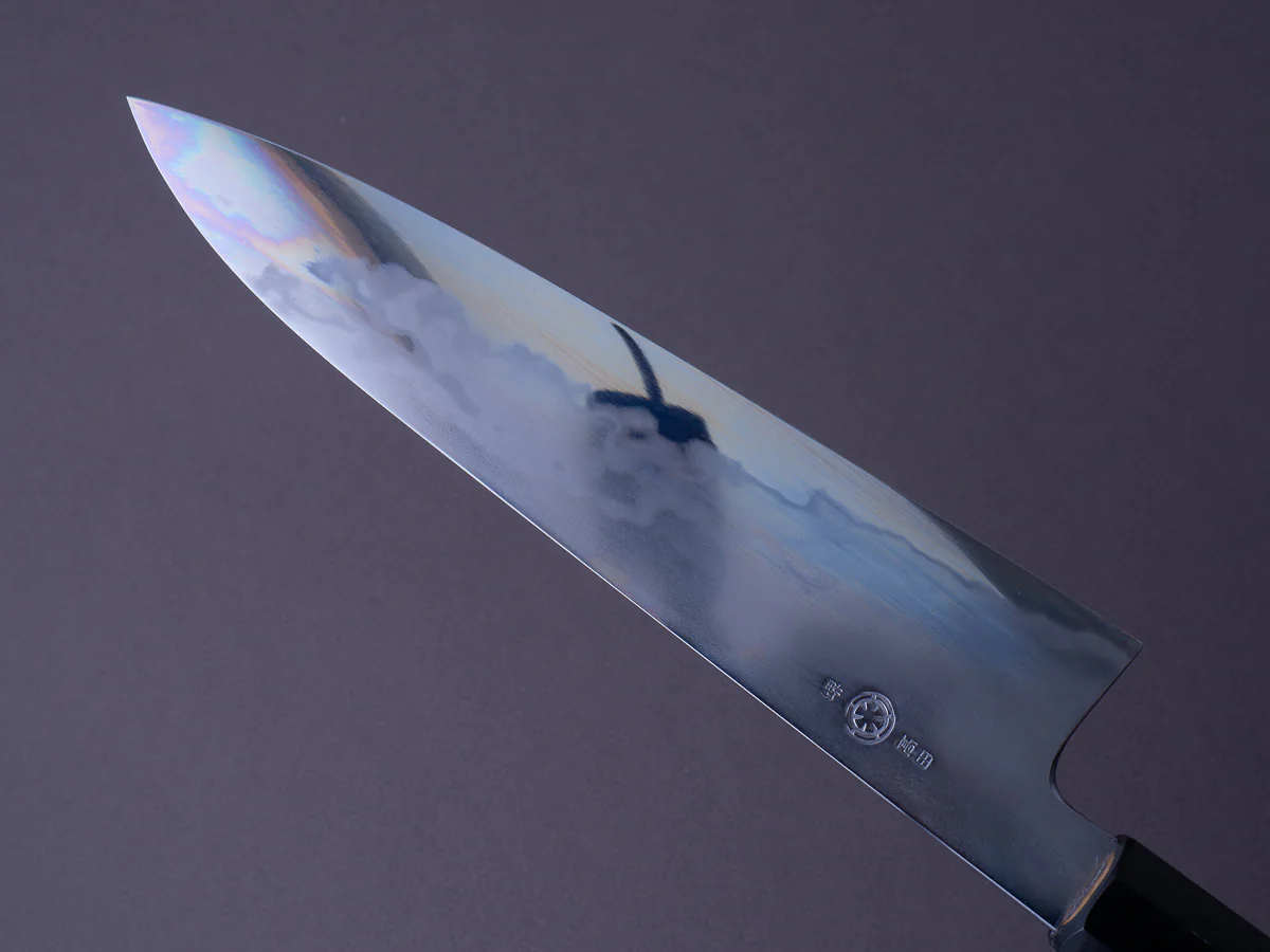 Takada no Hamono - Blue #2 - Suiboku - 210mm Gyuto - Ho Wood Handle - Image 3